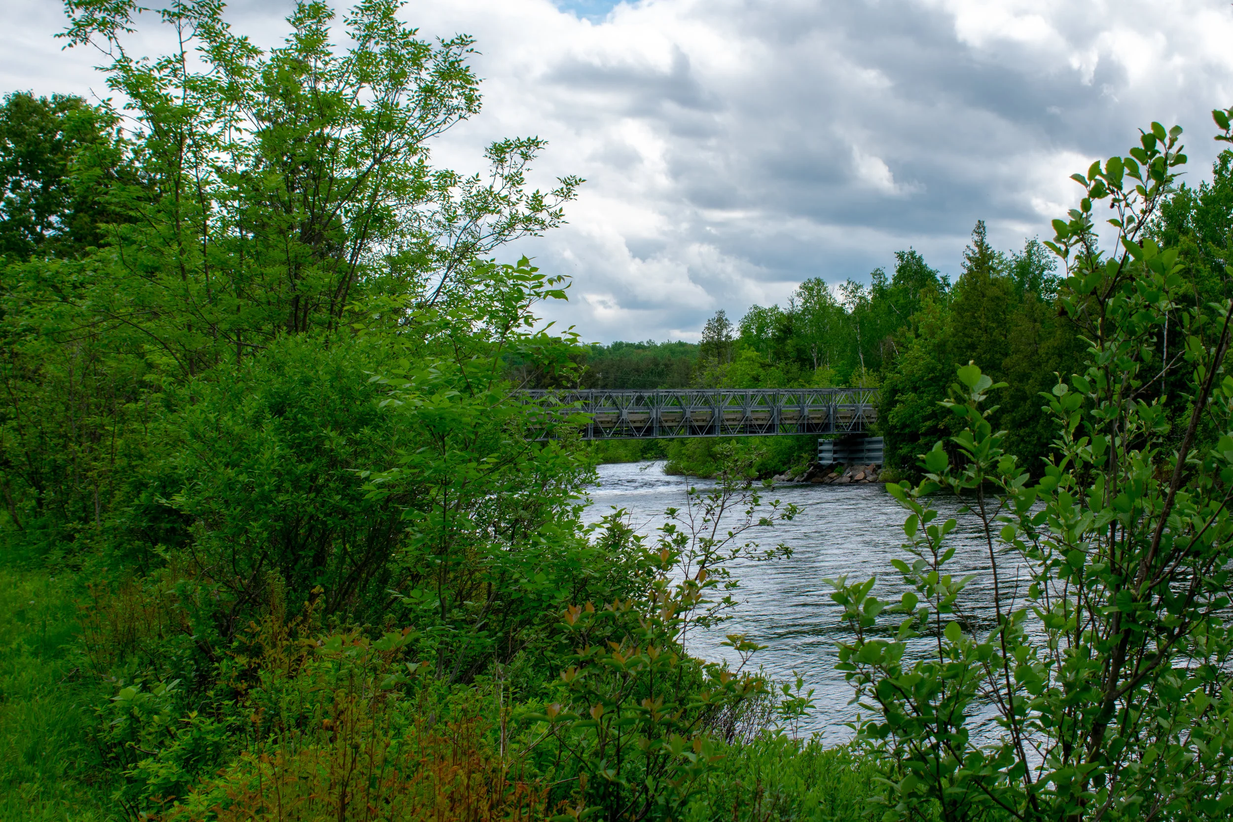 DSC_0487.jpg