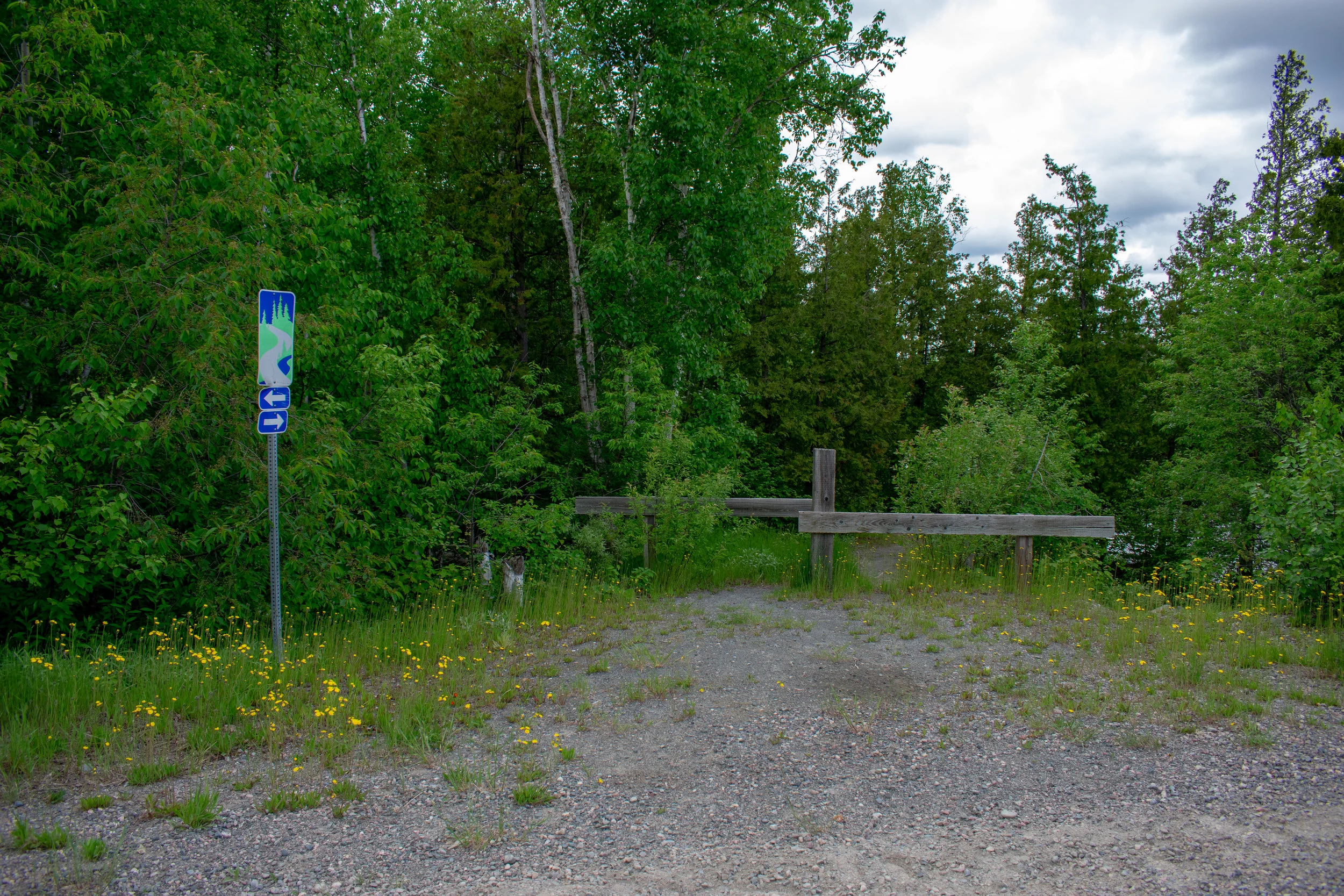 DSC_0506.jpg