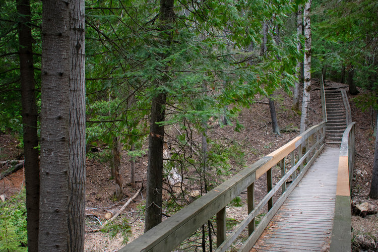 Hillfield Trail
