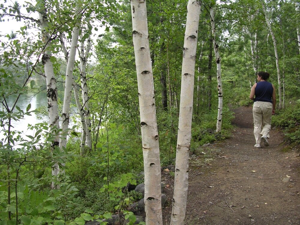 Meatbird Trail