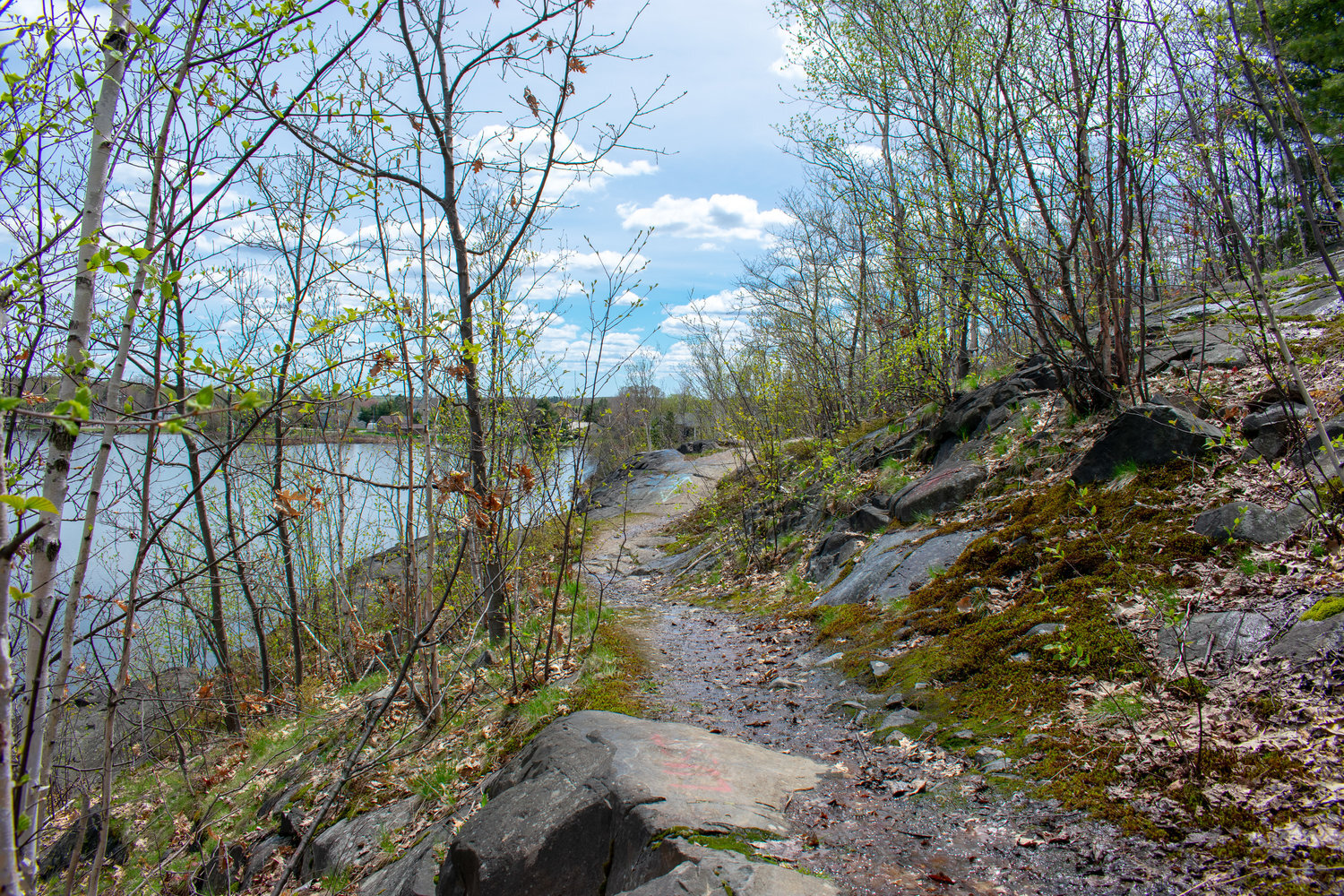 OAK FOREST TRAIL