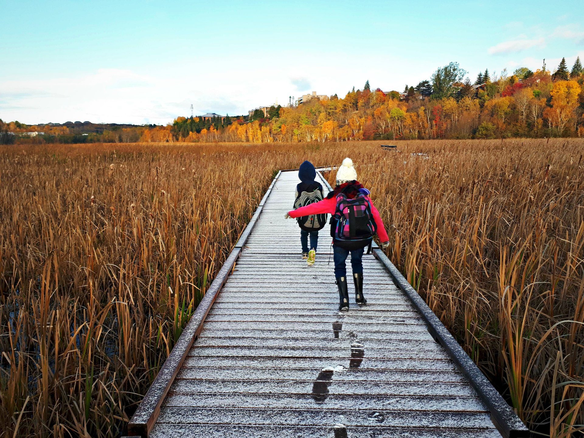 LILY CREEK BOARDWALK