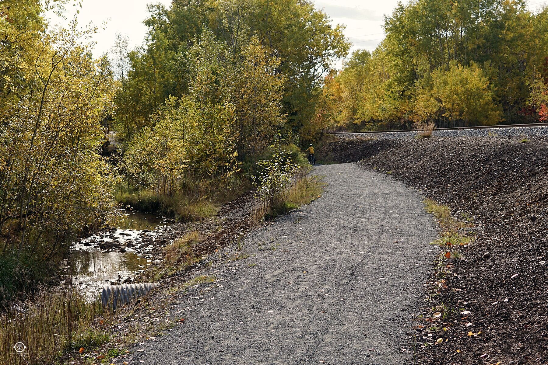 Nolin Rhein Nolin Creek — Rainbow Routes Association