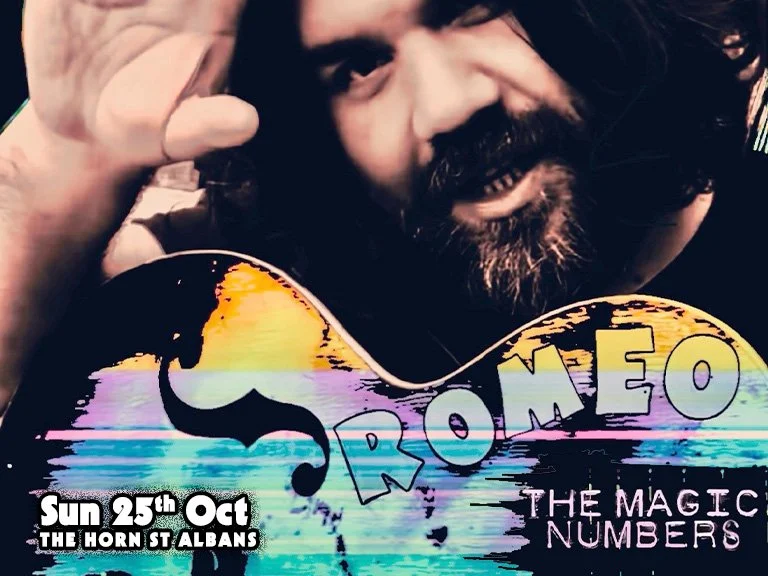 Romeo Stodart (The Magic Numbers)