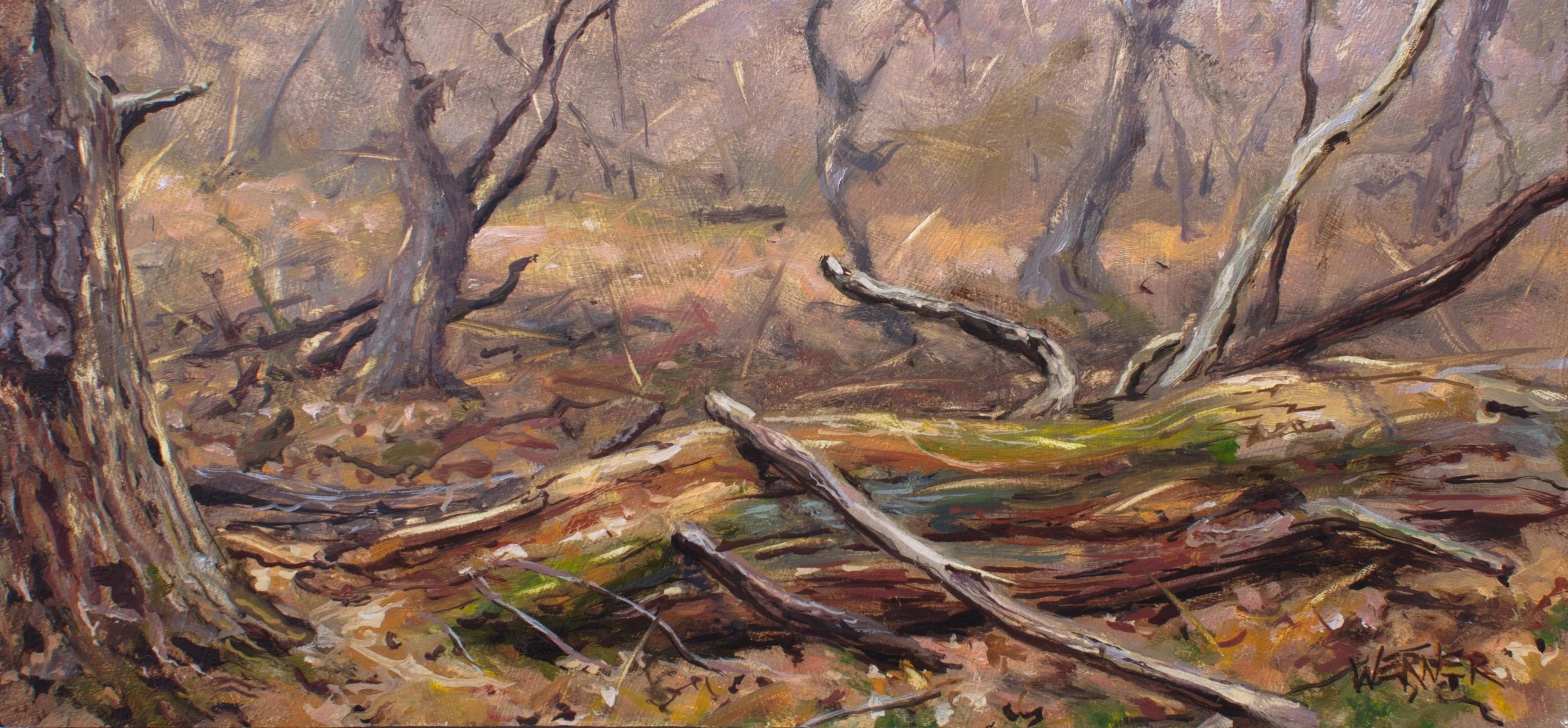 Fallen Pine 4.11.16 5/11.5" oil/panel