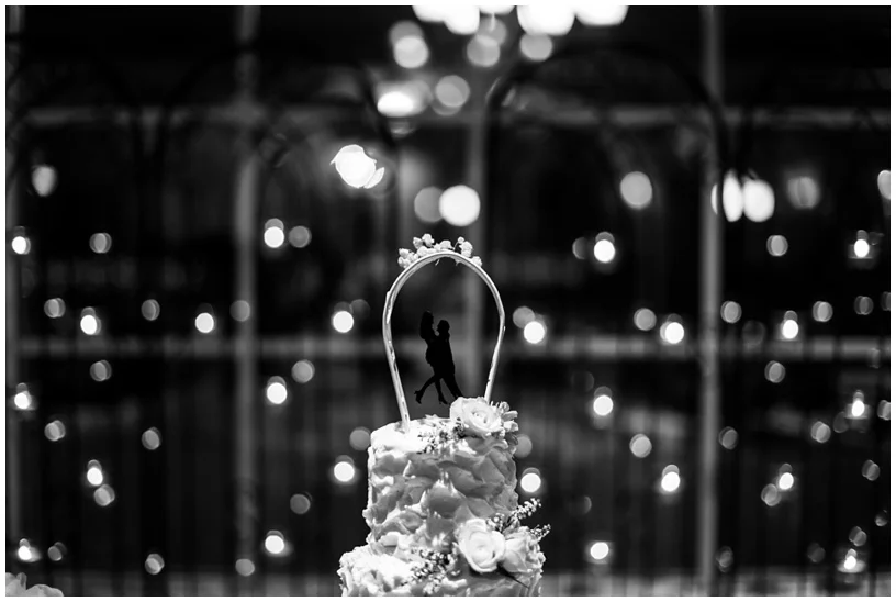 48MesaArizonaWeddingPhotography_LOGO.jpg