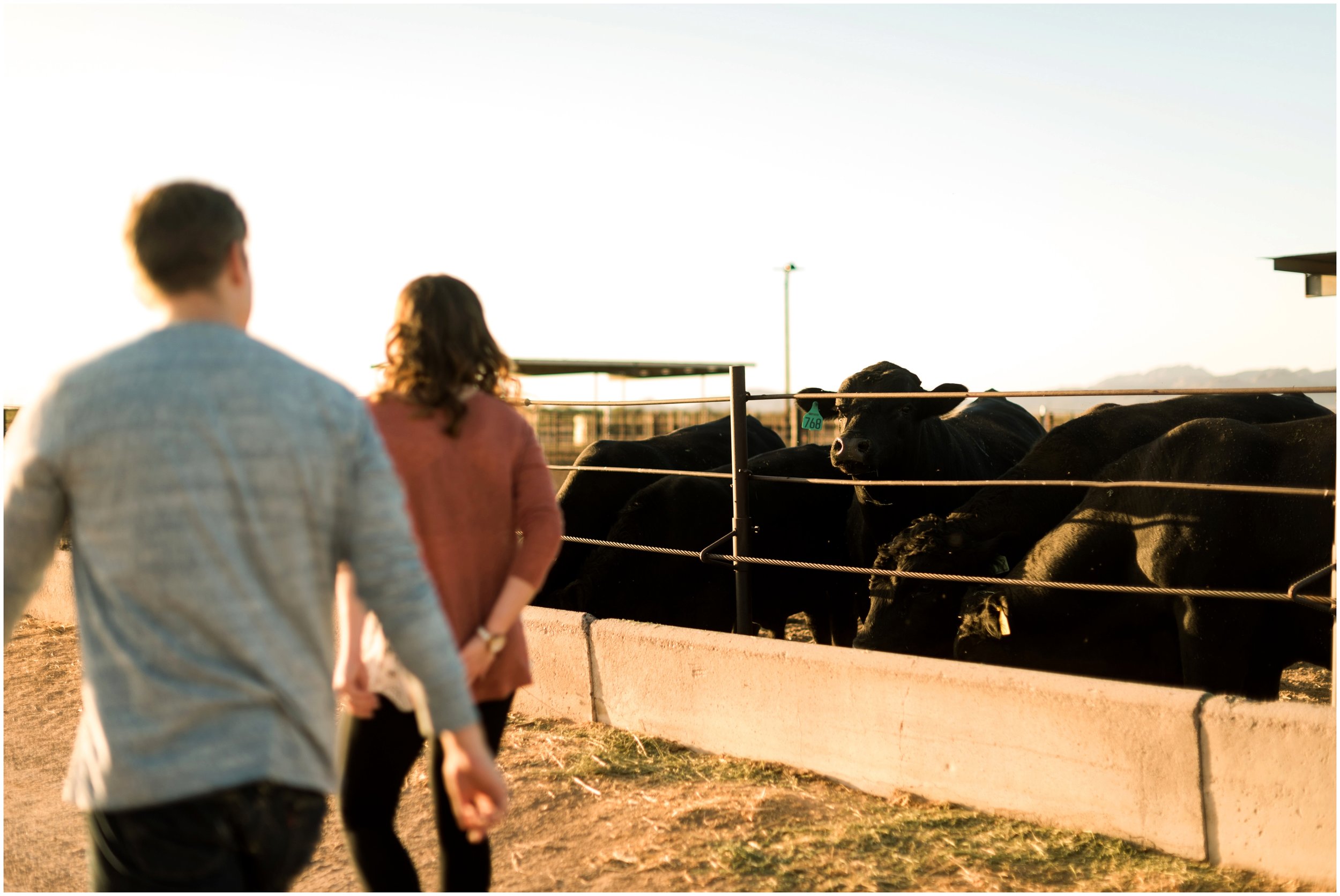 07CottonFieldEngagmentPhotos.jpg