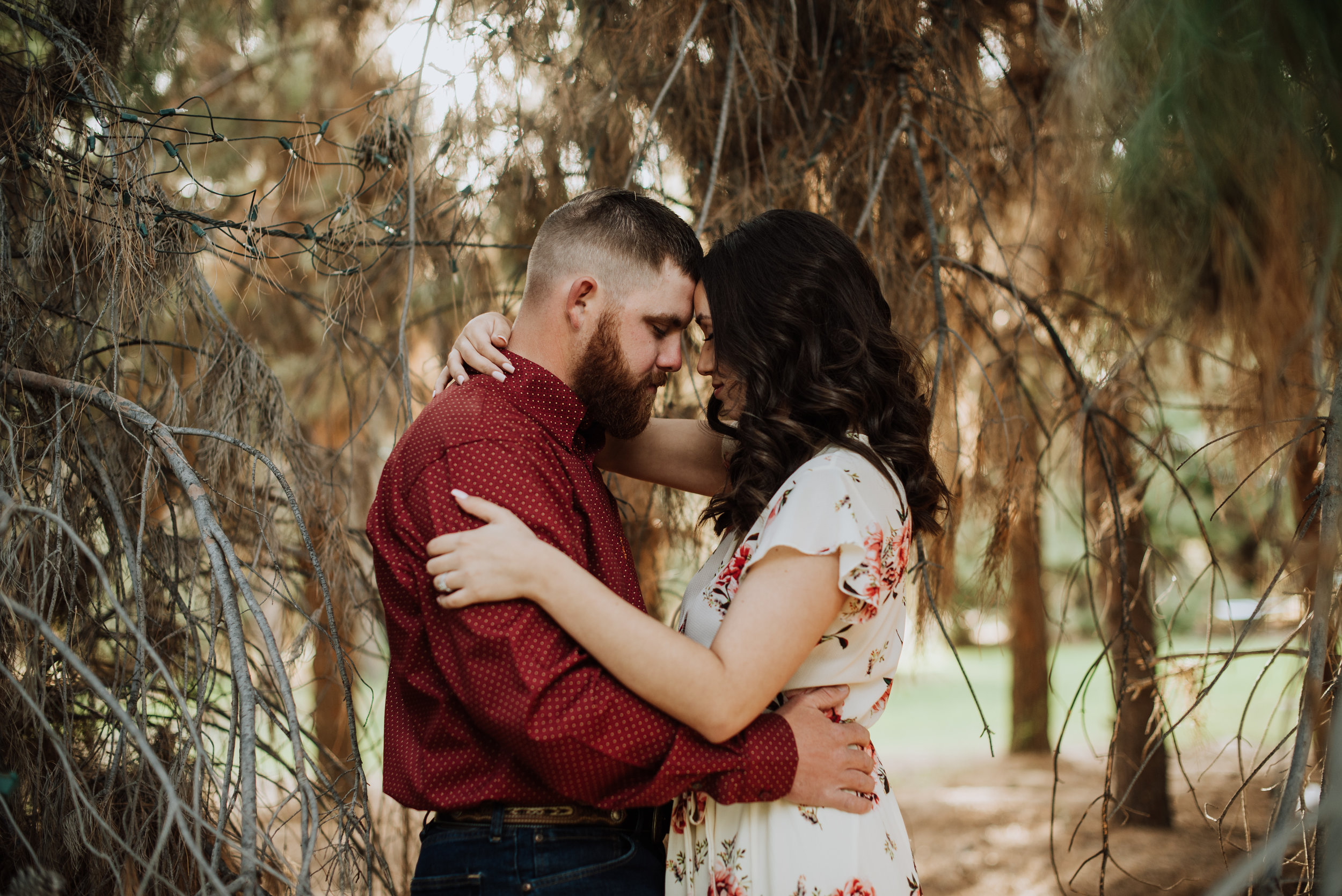 Schnepf Farm Woodsy Engagement Images