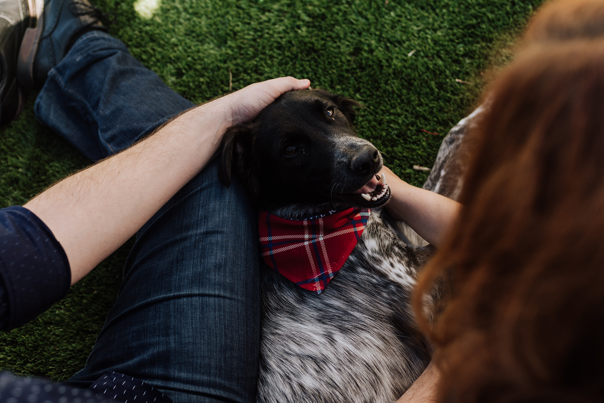 In Home Family Photos with Pets