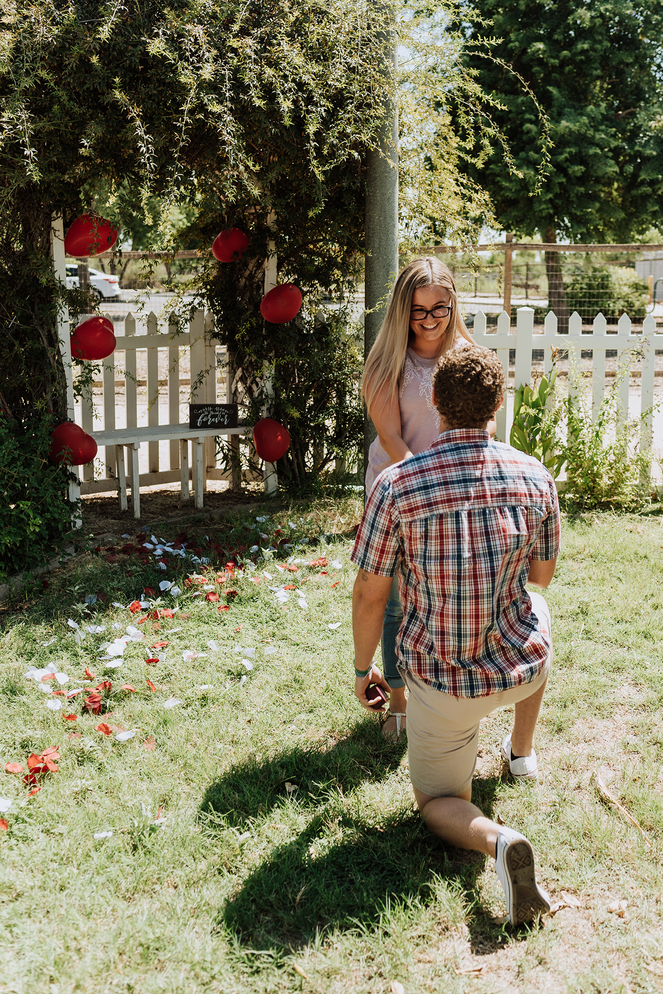 Surprise Proposal Inspiration