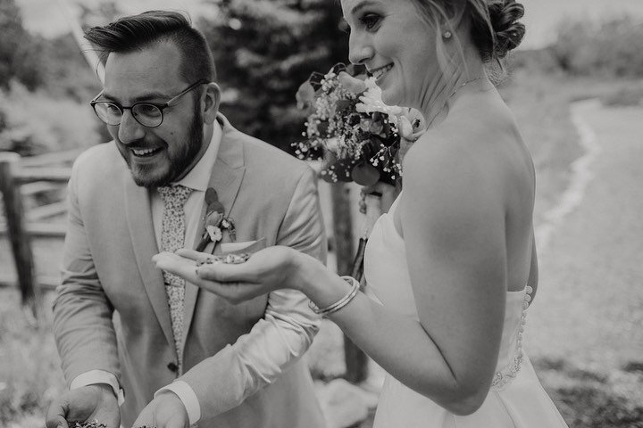 After their ceremony they had alpacas waiting to greet all the guests as they walked to the reception. You could feed them and it was hilarious and amazing!
Jamie + Mustafa // Colorado, June 2019
.
.
.
.
. 
#allyouwitness #cleanbootsnormalhair #momen