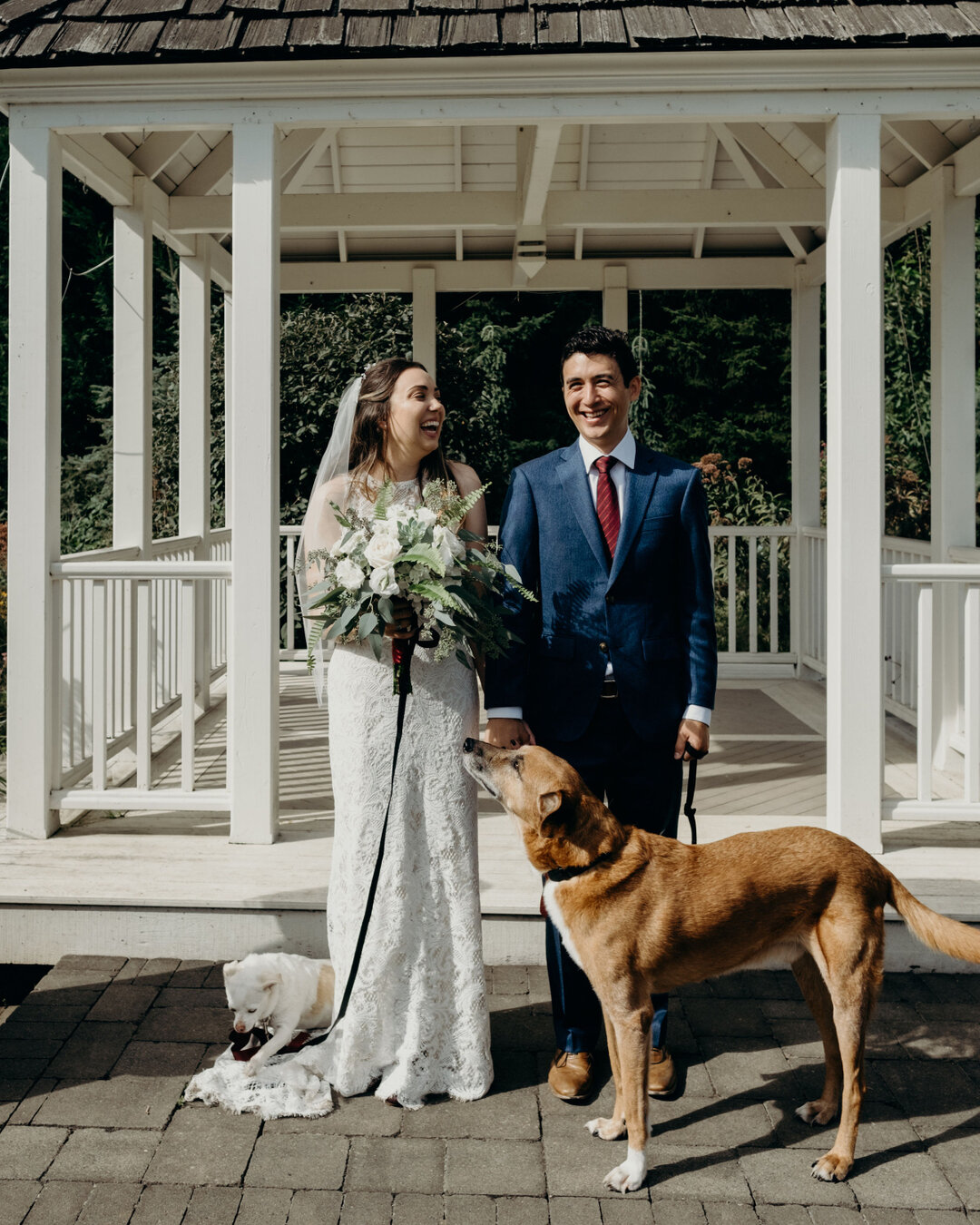 A wedding filled with so much love, sunshine and dogs. ​​​​​​​​
Riley + Allen // Oregon ​​​​​​​​
.​​​​​​​​
.​​​​​​​​
.​​​​​​​​
.​​​​​​​​
.​​​​​​​​
 #allyouwitness #cleanbootsnormalhair #momentsovermountains #thisisreportage #weddingphotojournalism #d