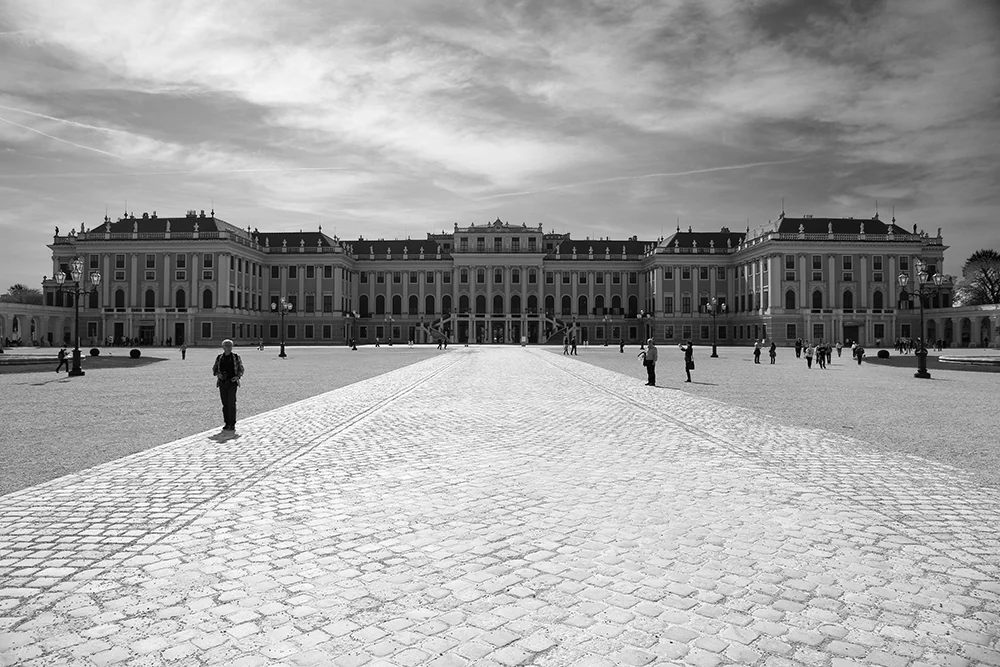 Vienna3