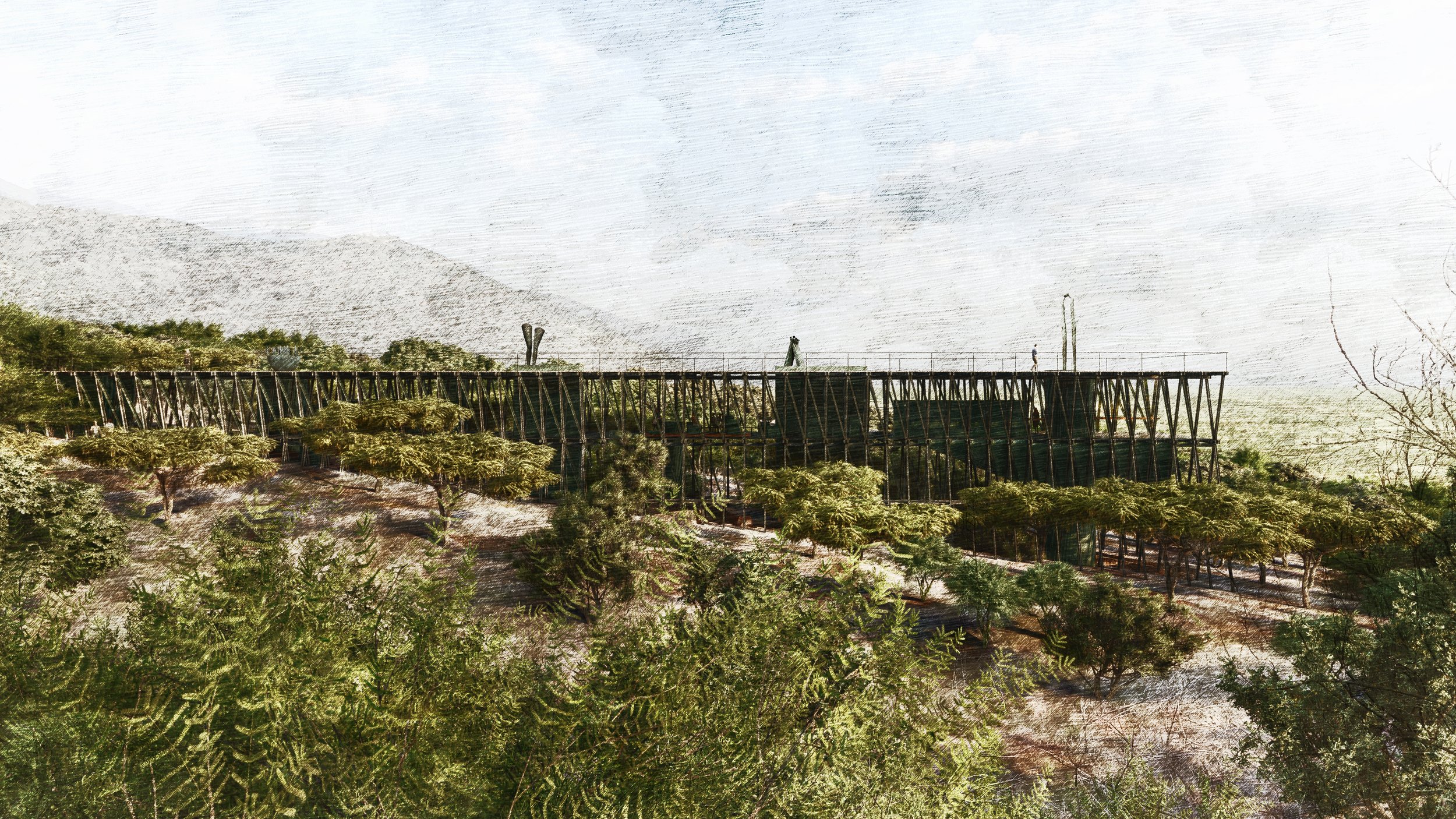 HUMANE MUSEUM COMPETITION