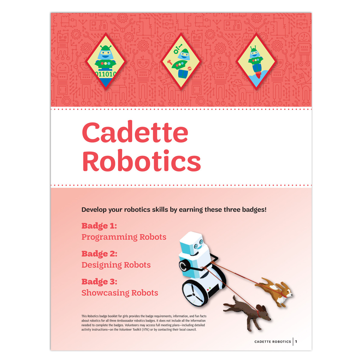 Cadette Robotics Image.jpg