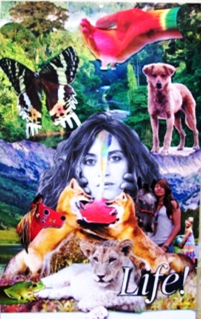 equinox collage copy.jpeg