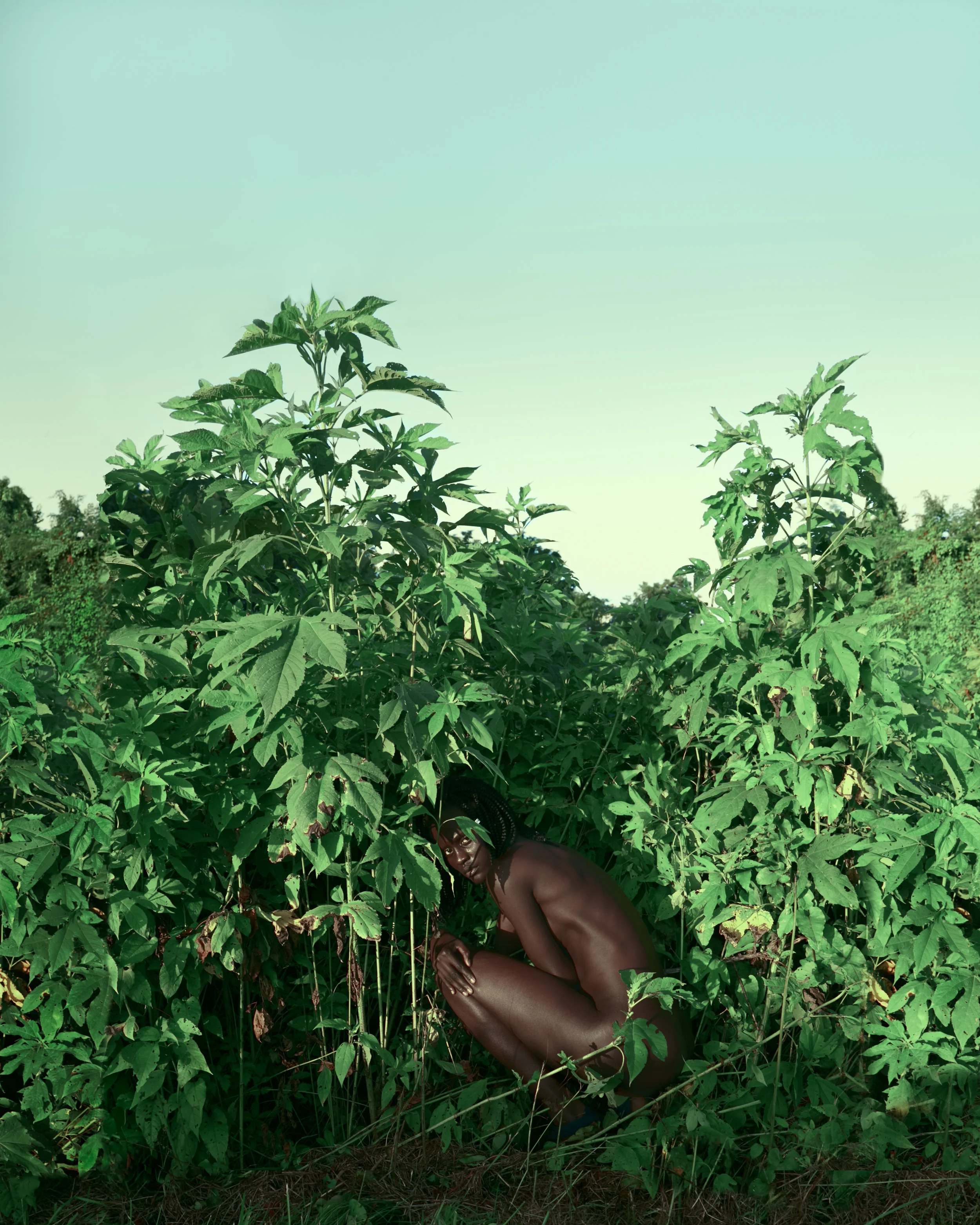 elsewhere1.jpg