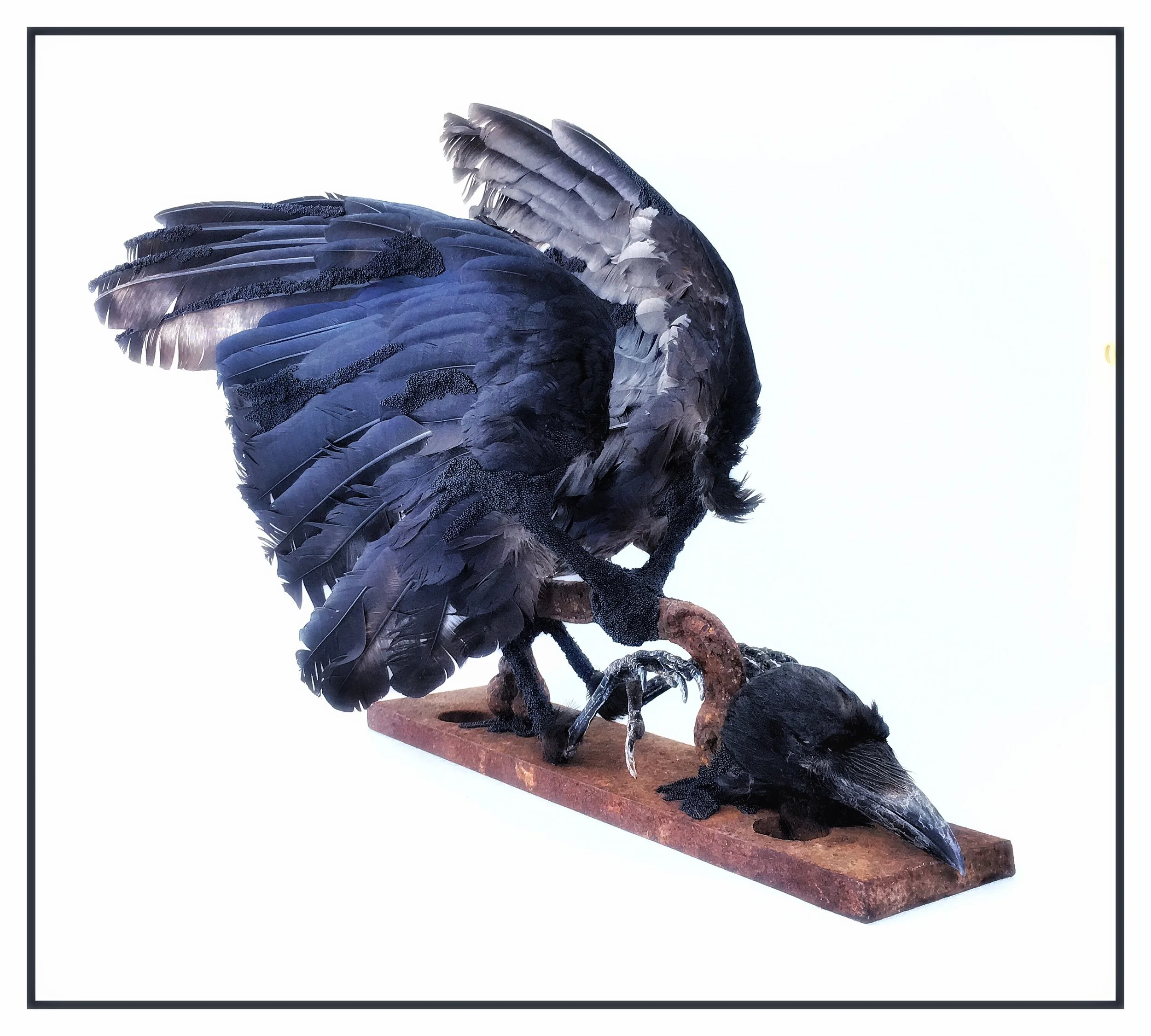 Moving Between Worlds and Lives