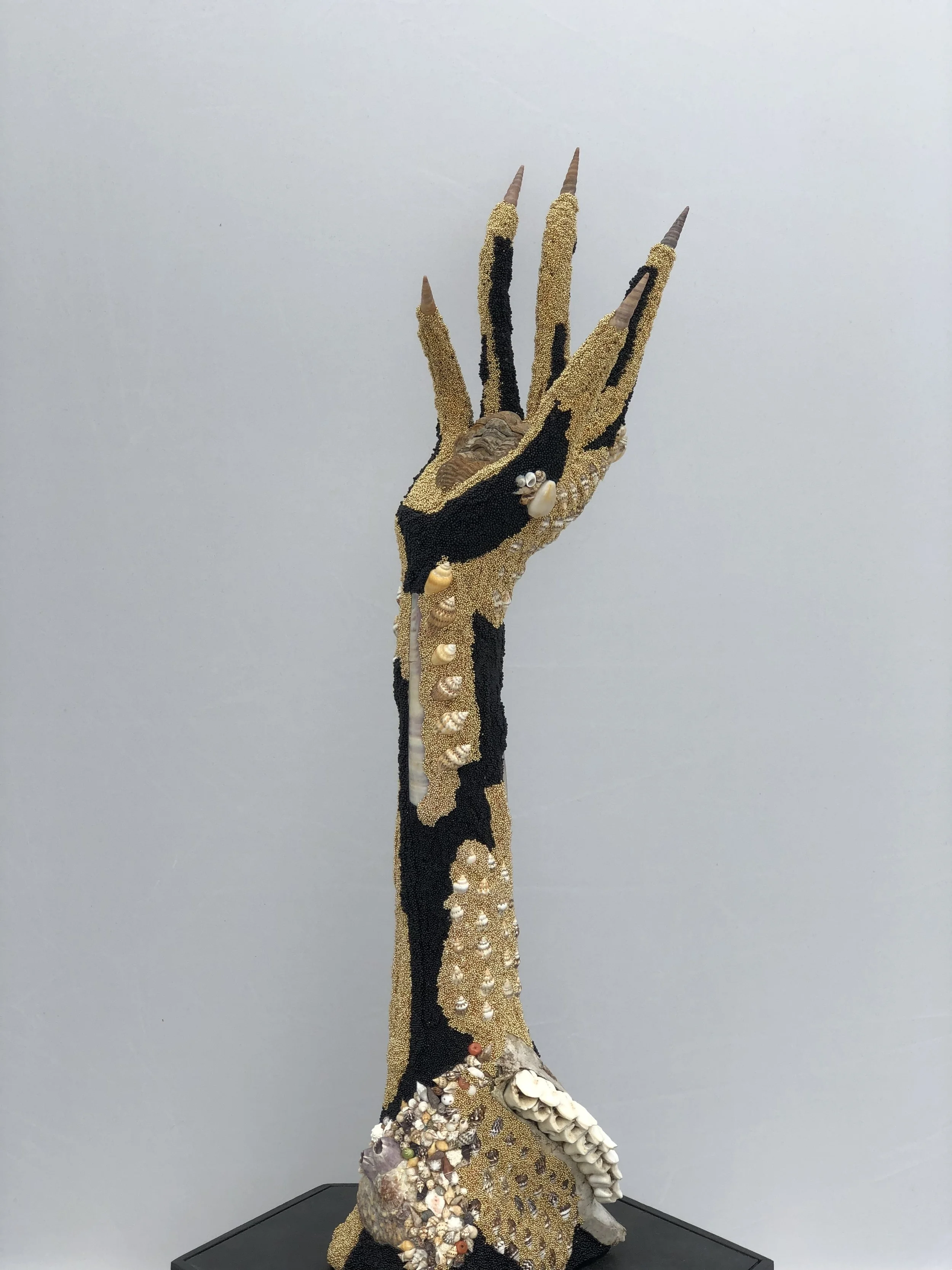 Another Kind of Illumination