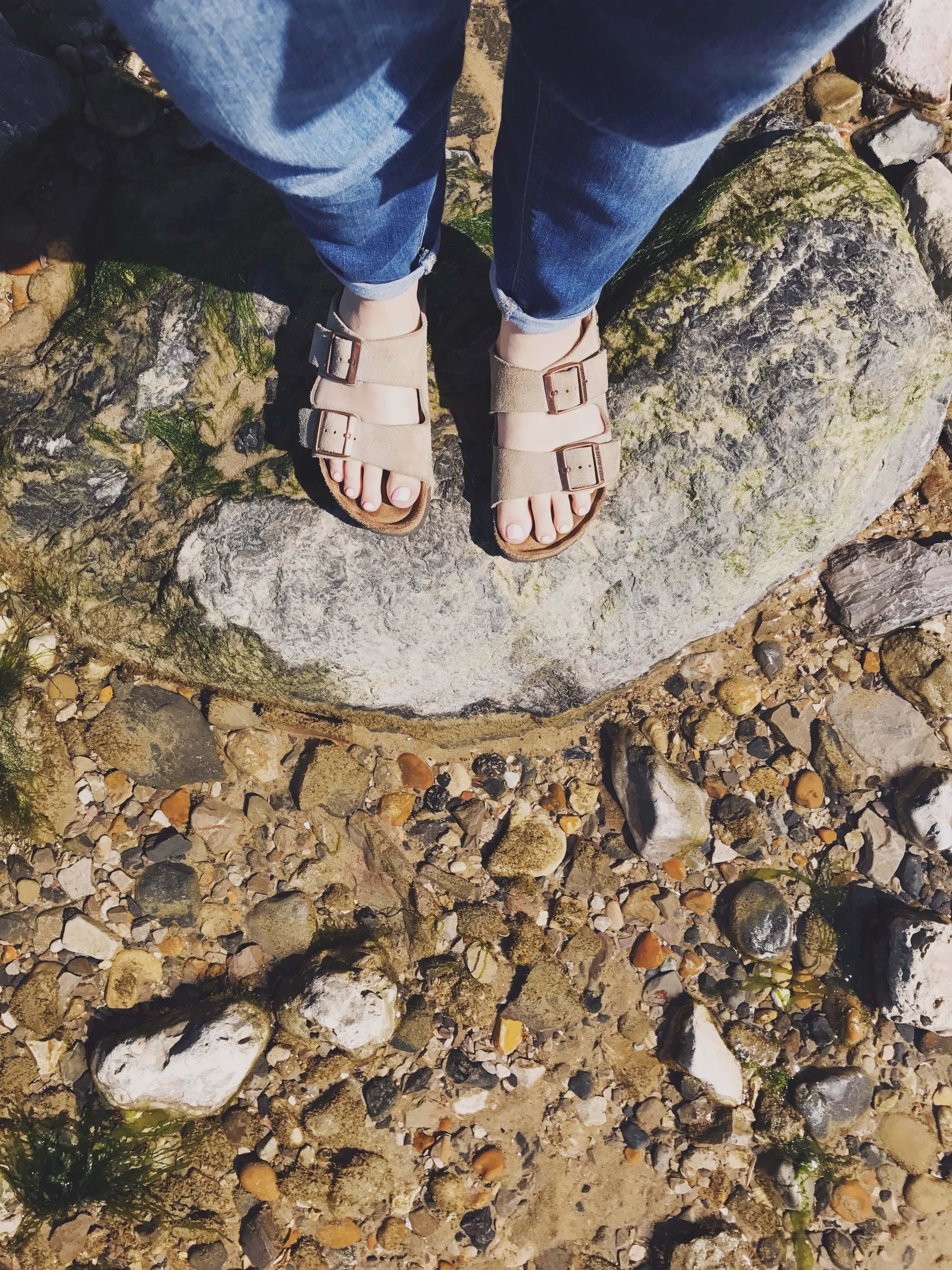 More rock pool adventures