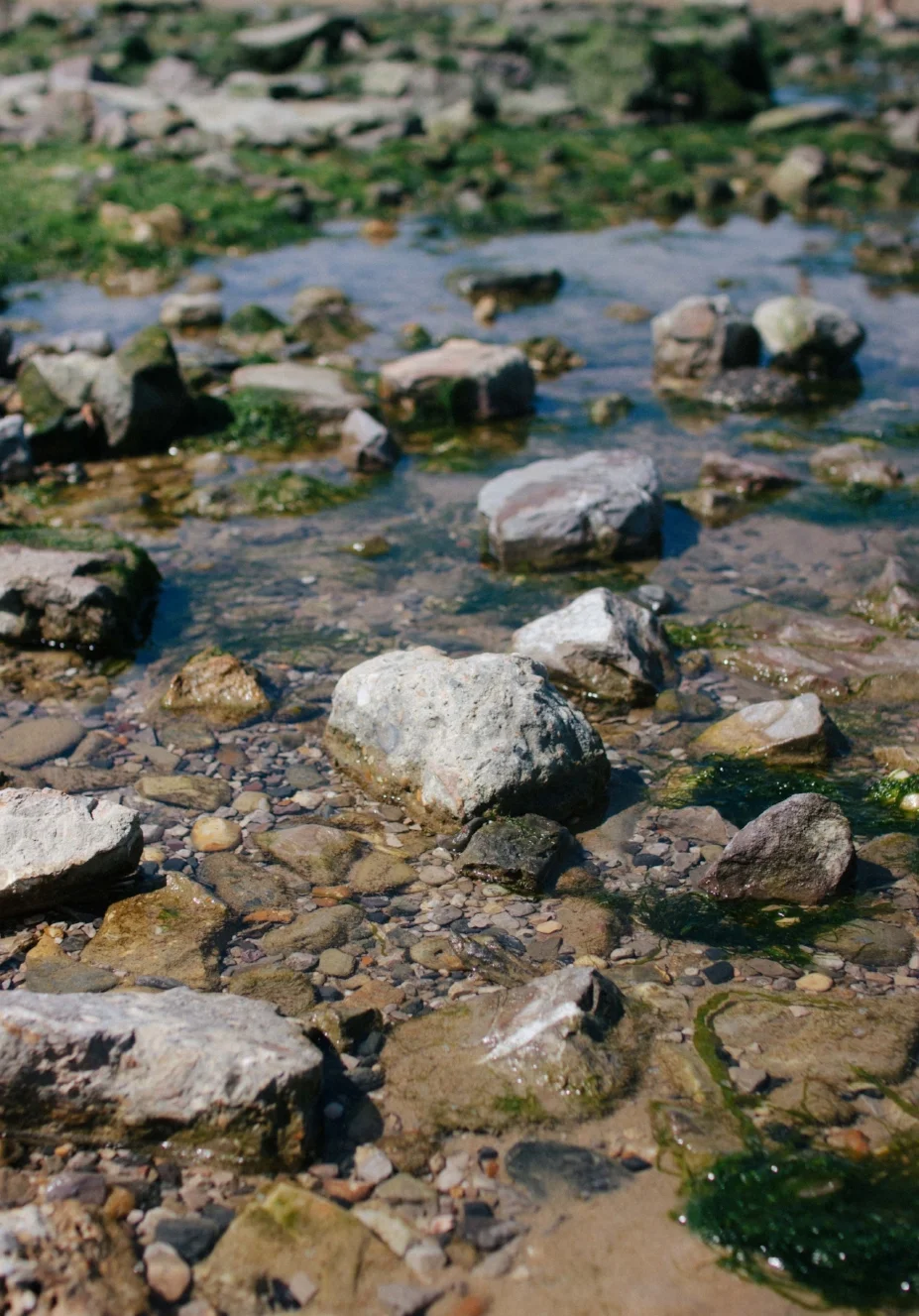 Gotta love rock pooling
