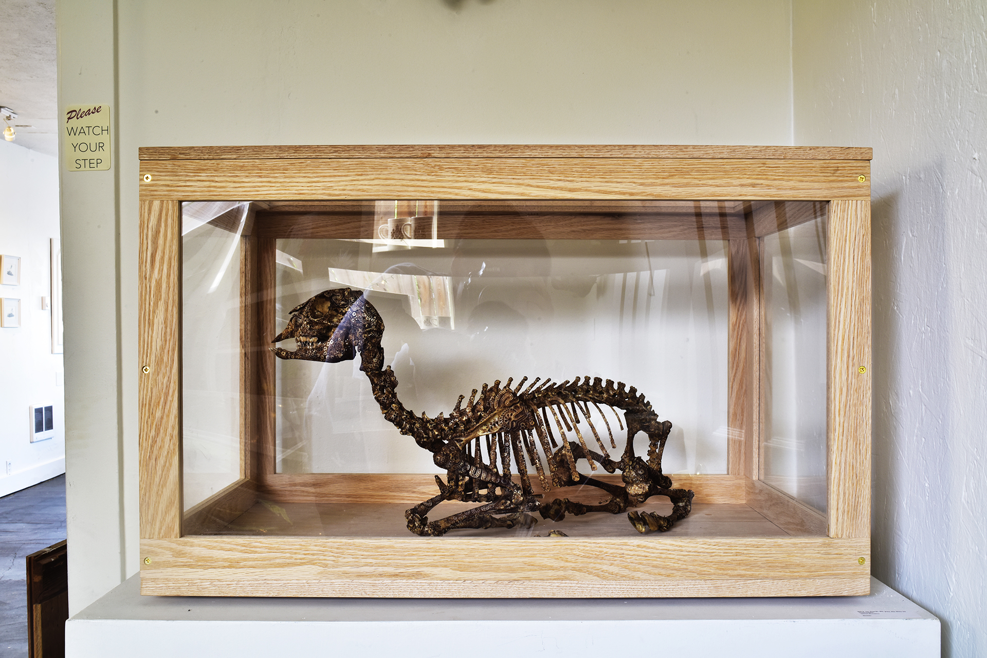 Oak Display Case : Carved skeleton by Jason Borders