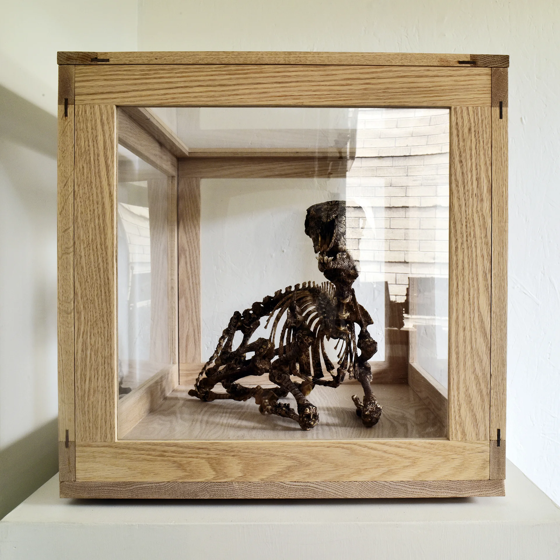 Oak Display Case : Carved skeleton by Jason Borders