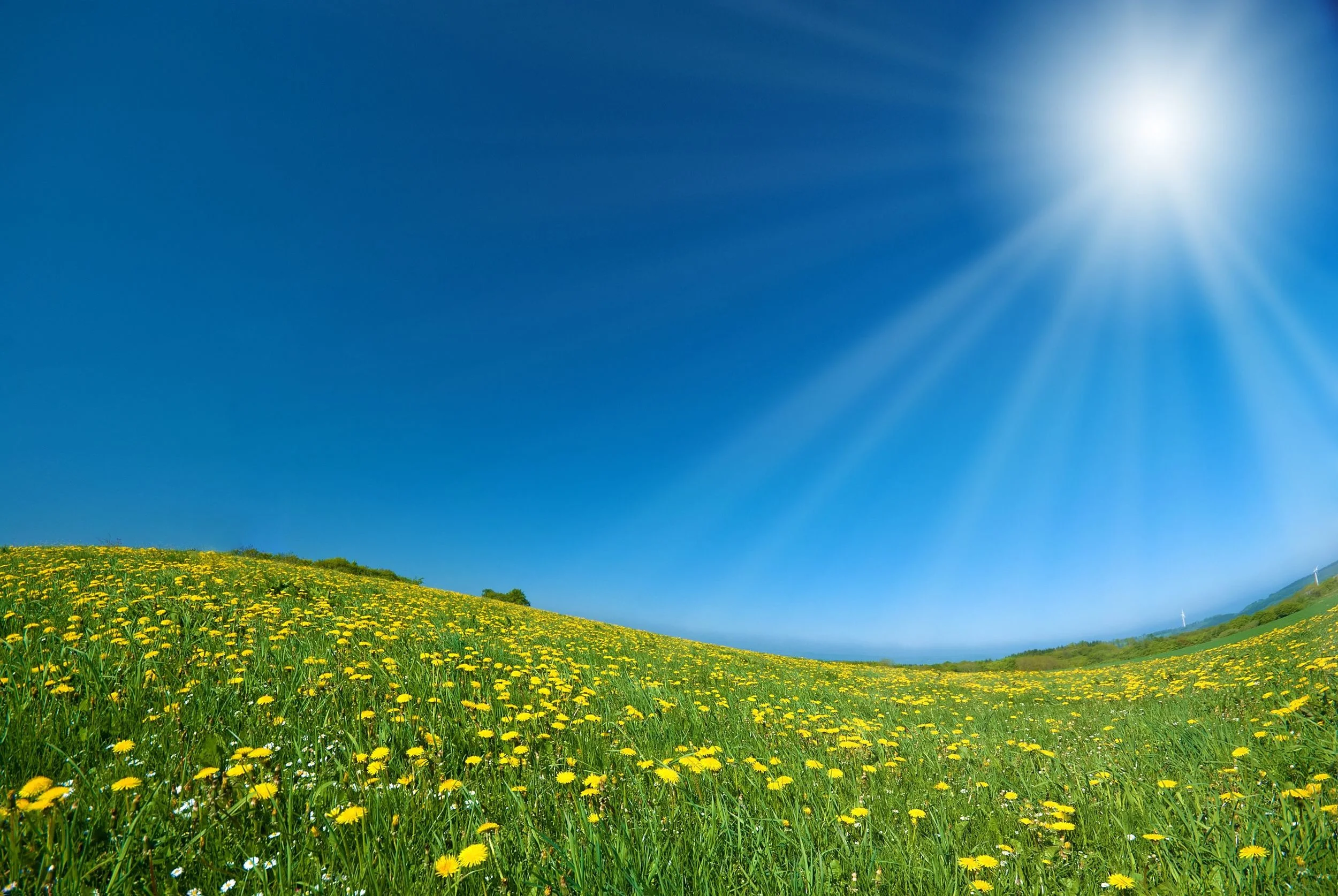 sun.jpg
