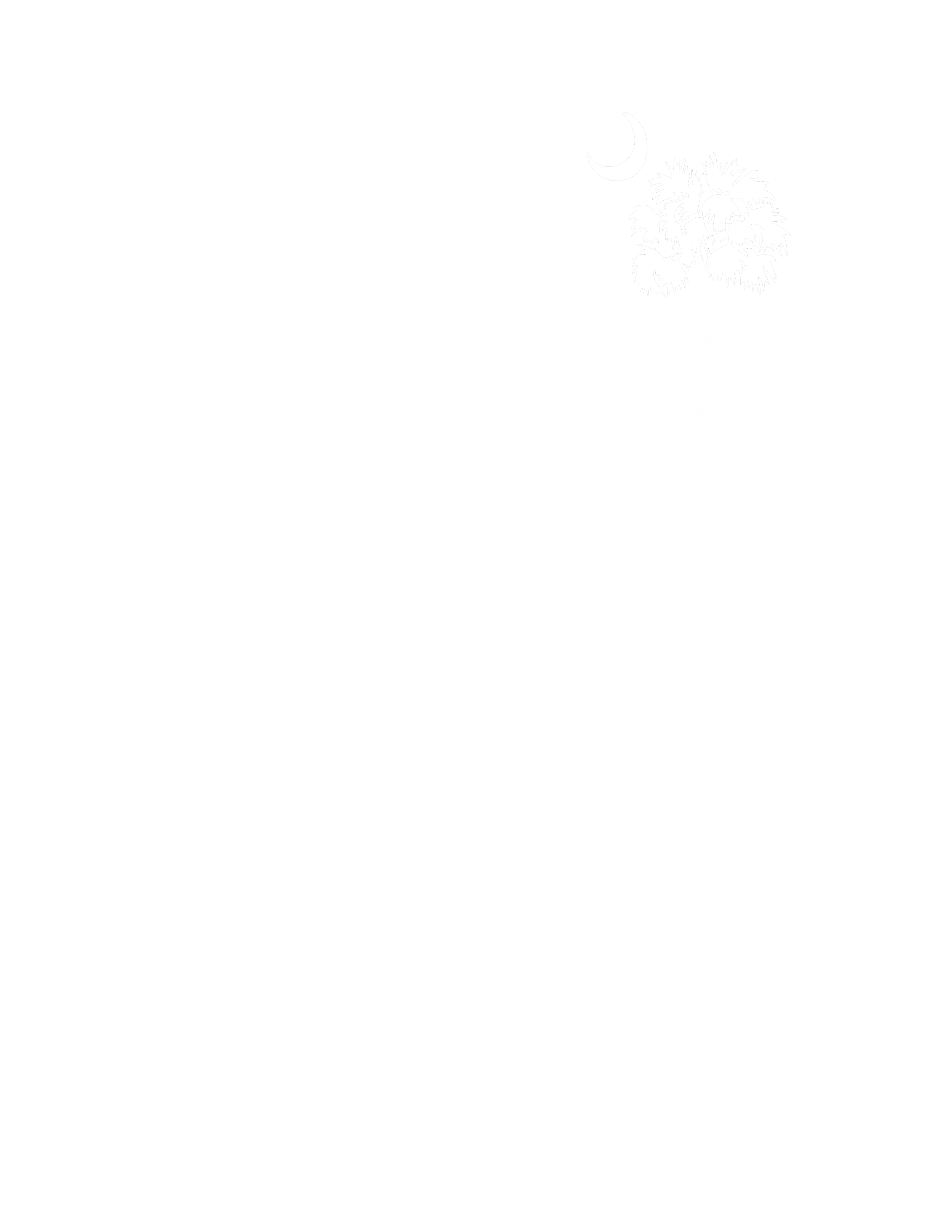 SC genetic counselor shirt_front chest.png
