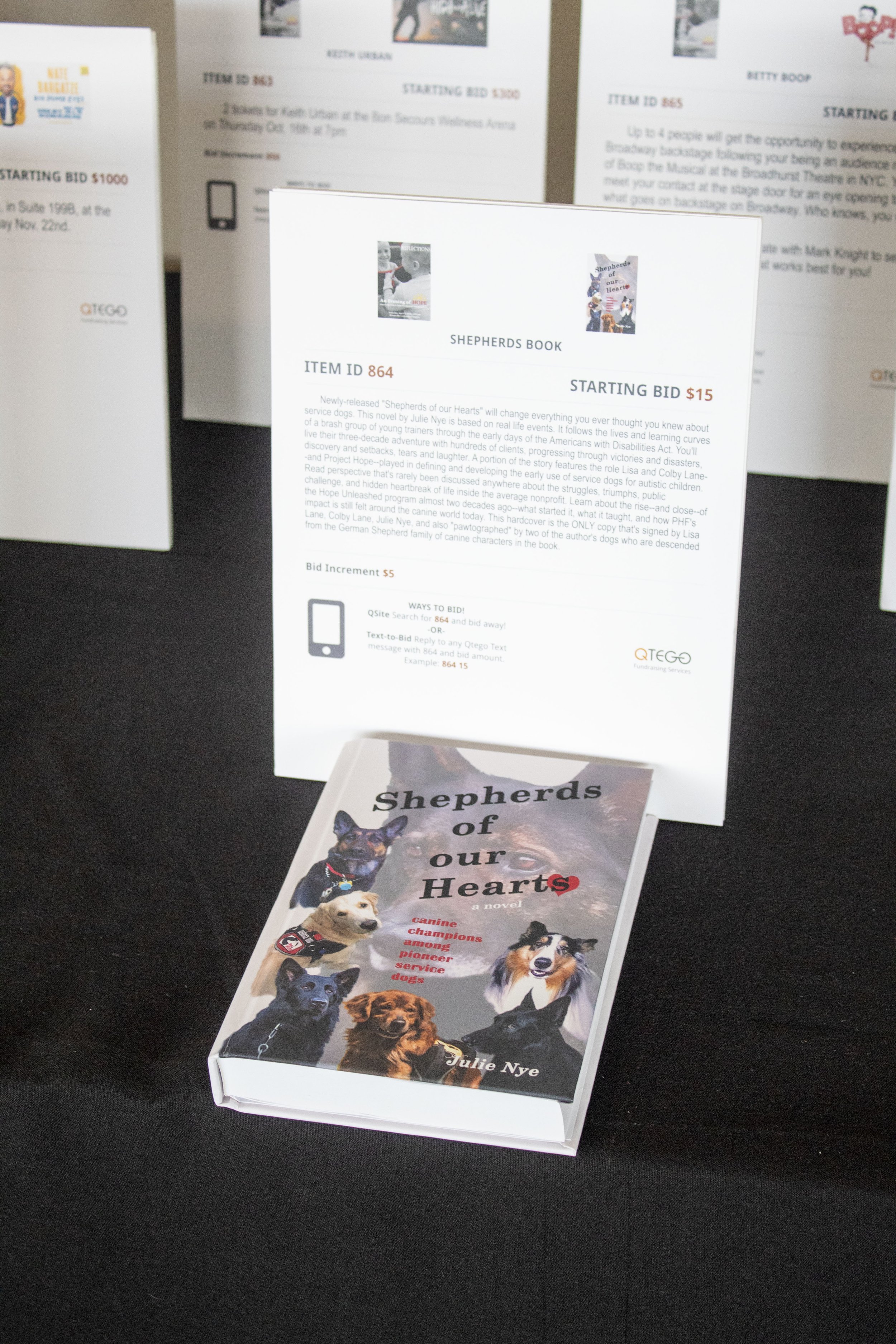 SILENT_AUCTION_34.jpg