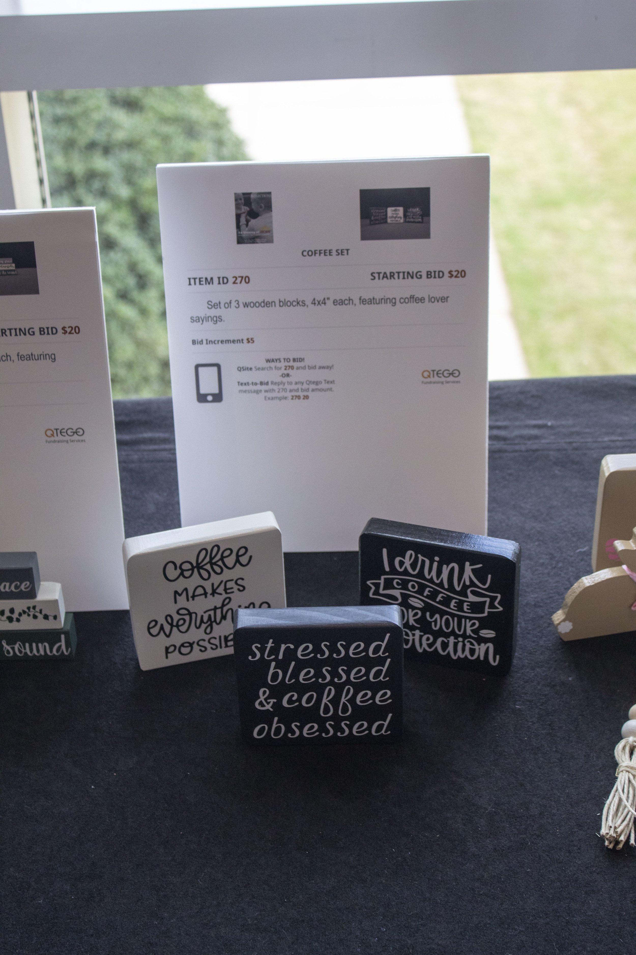 SILENT_AUCTION_20.jpg