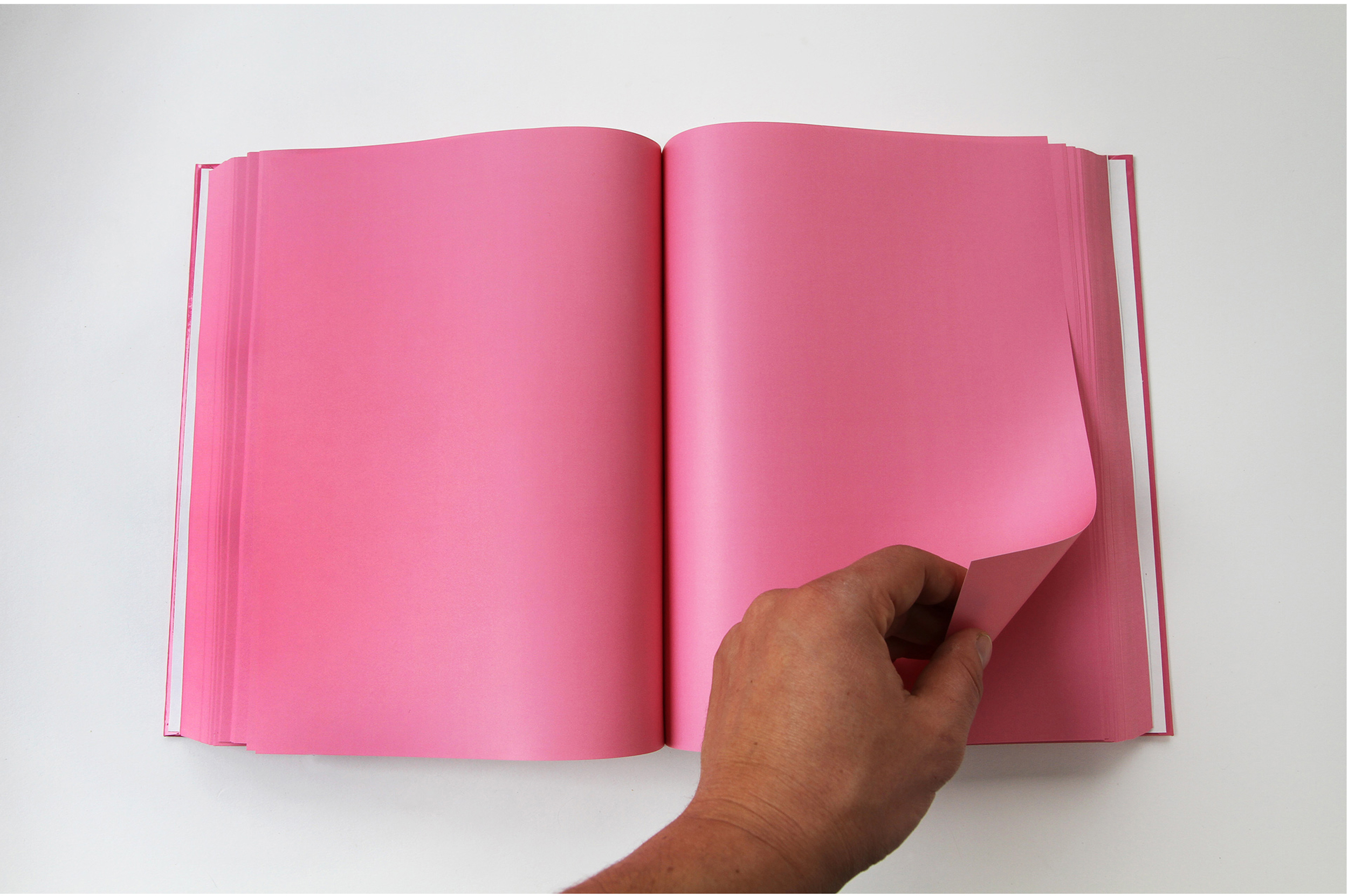   Cookbook  2013 Baker-Miller Pink printed book (800 pages), edition of 3 11.75 x 8.25 x 2 inches 