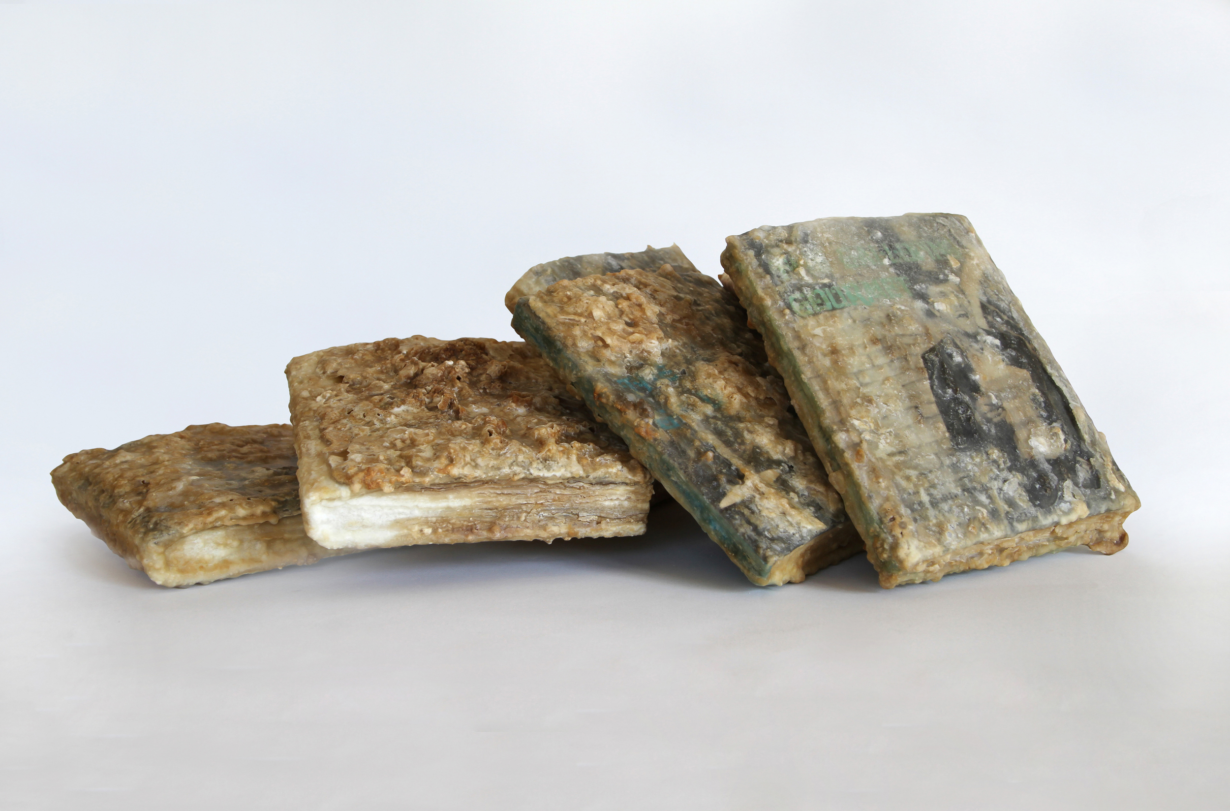 Relic (The Galloping Gourmet Television Cookbook Volume I – VII, Graham Kerr) 2013 Found book, monosodium glutamate (MSG), epoxy Dimensions variable