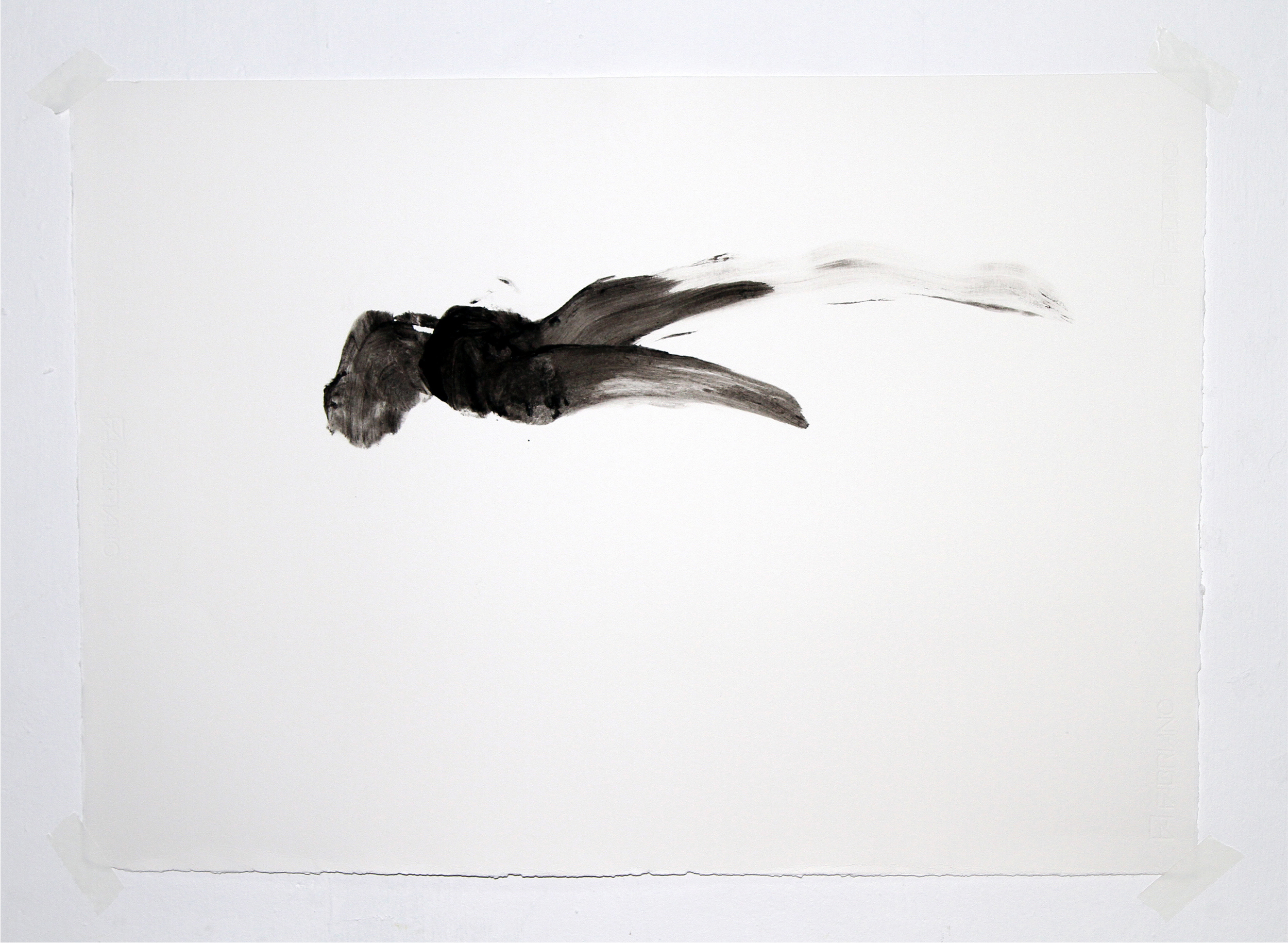   Attempting to Capture Taste (Movement #2)  2012 Squid ink applied by tongue on paper 30x40 inches 