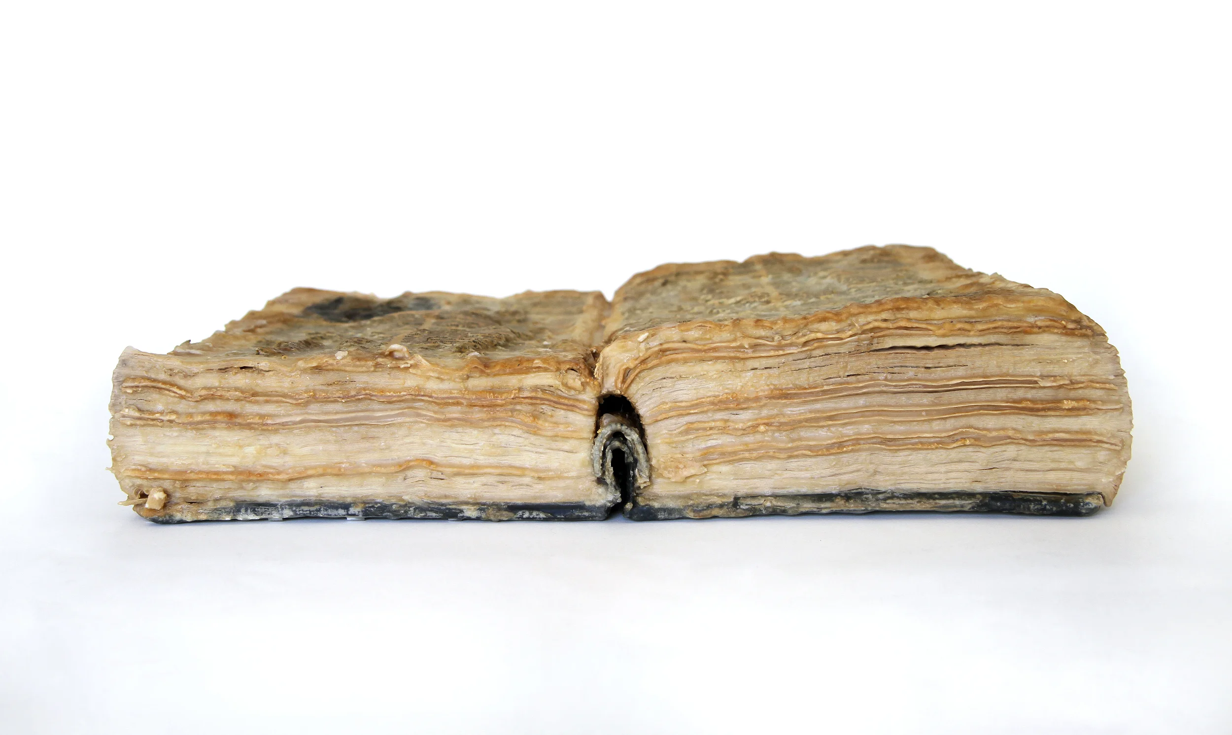 Relic (Larousse Gastronomique, Prosper Montagné) 2013 Found book, monosodium glutamate (MSG), epoxy 16x10x2.5 inches