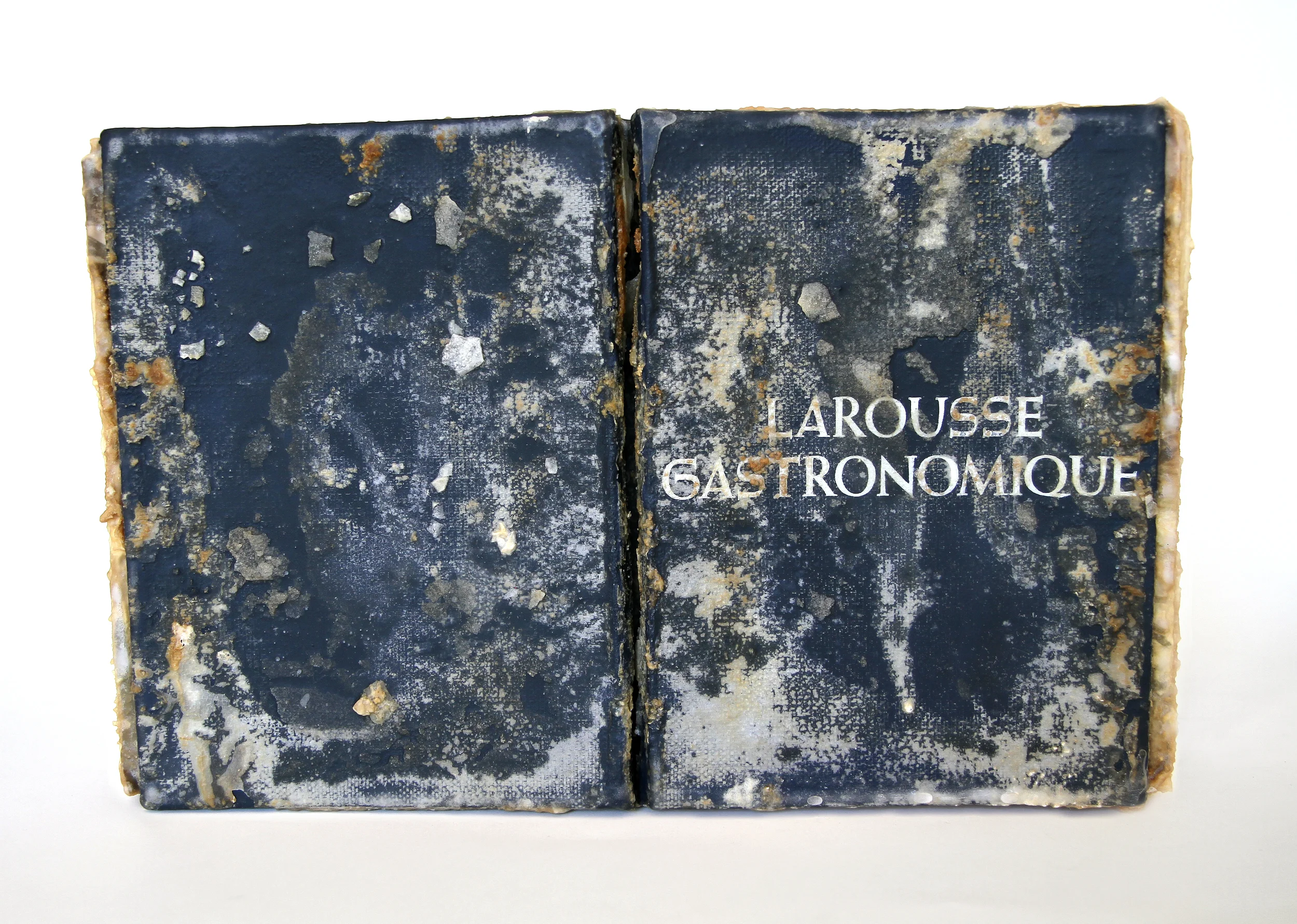Relic (Larousse Gastronomique, Prosper Montagné) 2013 Found book, monosodium glutamate (MSG), epoxy 16x10x2.5 inches