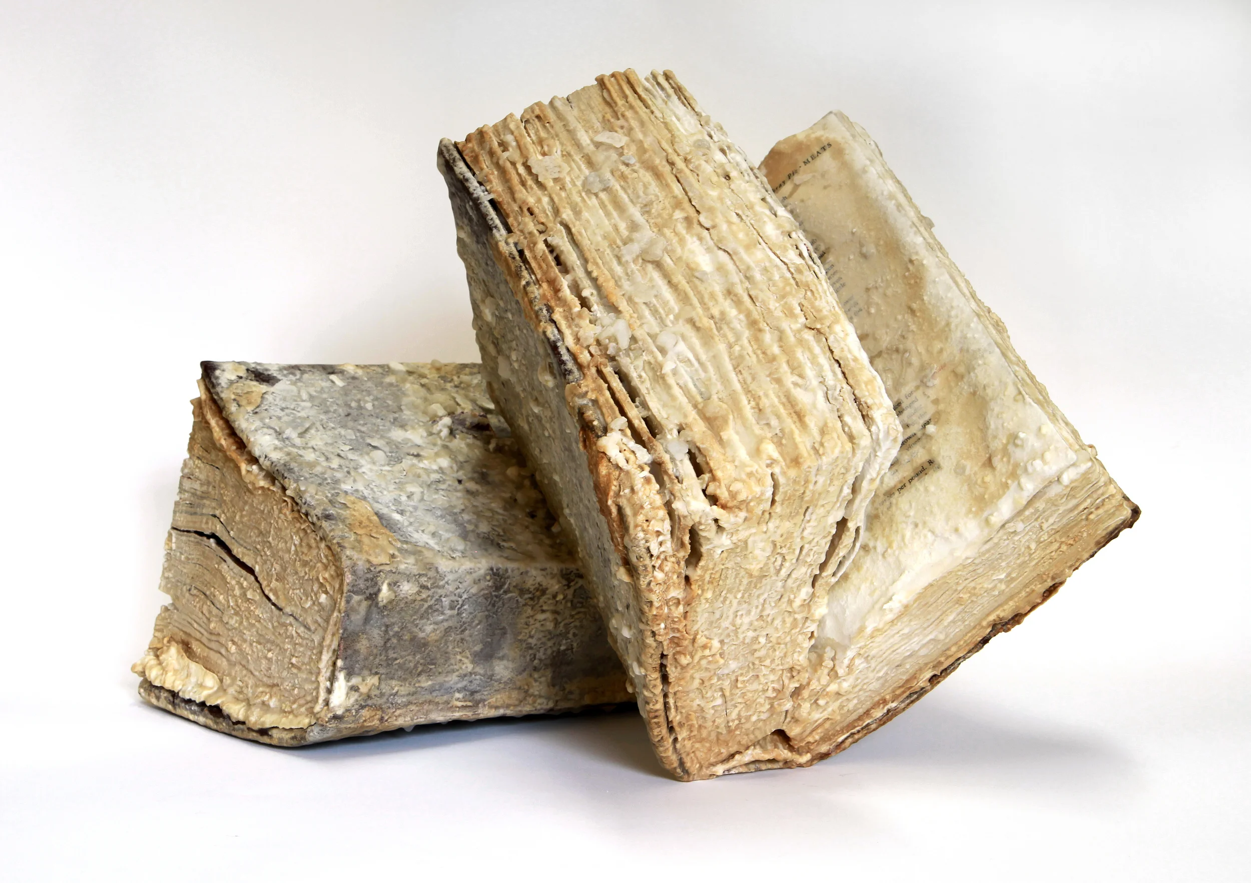 Relic (The Gourmet Cookbook Volume I&II, Magazine of Good Living) 2012/2013 Found book, monosodium glutamate (MSG), epoxy 8x8x10 inches each