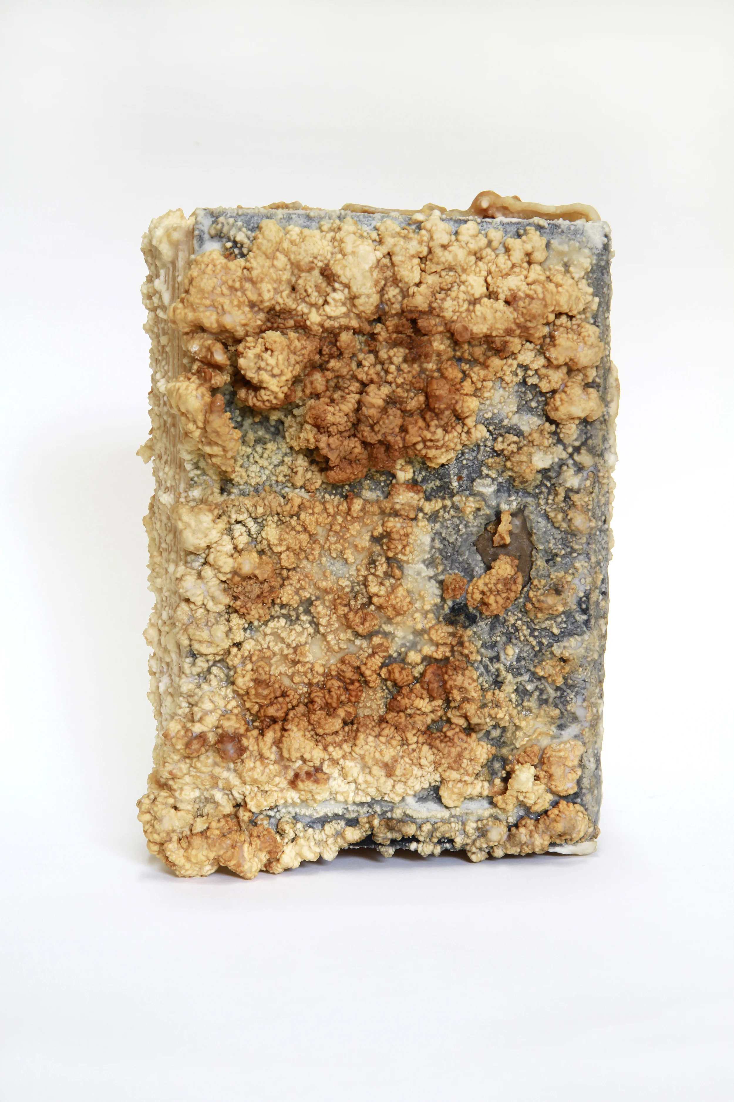 Relic (Amy Vanderbilt's Complete Book of Etiquette, Amy Vanderbilt) 2013 Found book, monosodium glutamate (MSG), epoxy 7x9.5x3.5 inches