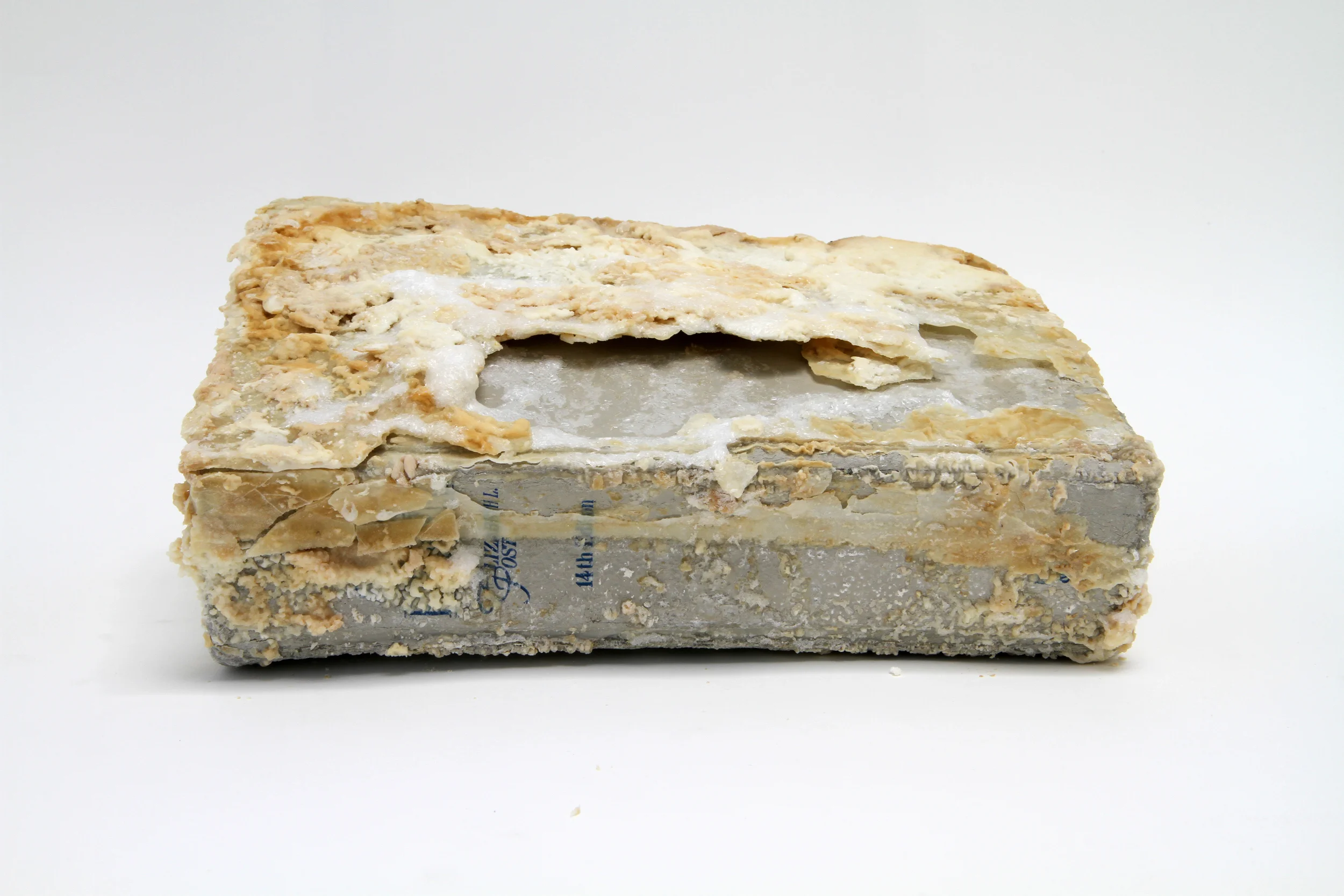 Relic (Emily Post's Etiquette, Elizabeth L. Post) 2012 Found book, monosodium glutamate (MSG), epoxy 10 x 7 x 2 inche s