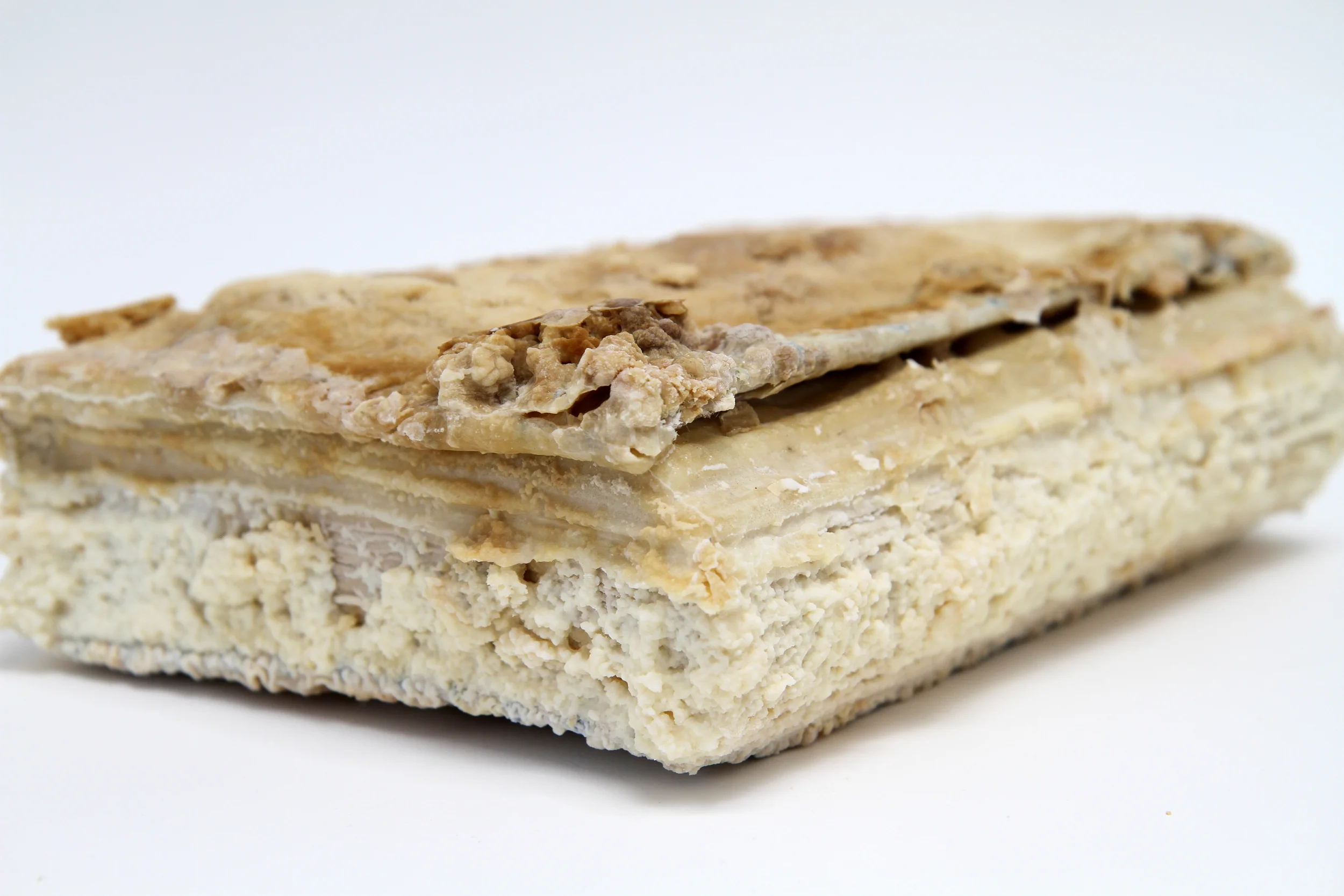 Relic (Mastering the Art of French Cooking, Julia Child, Louisette Bertholle, Simone Beck) 2012 found book, monosodium glutamate (MSG), epoxy 8 x 2 x 11 inches
