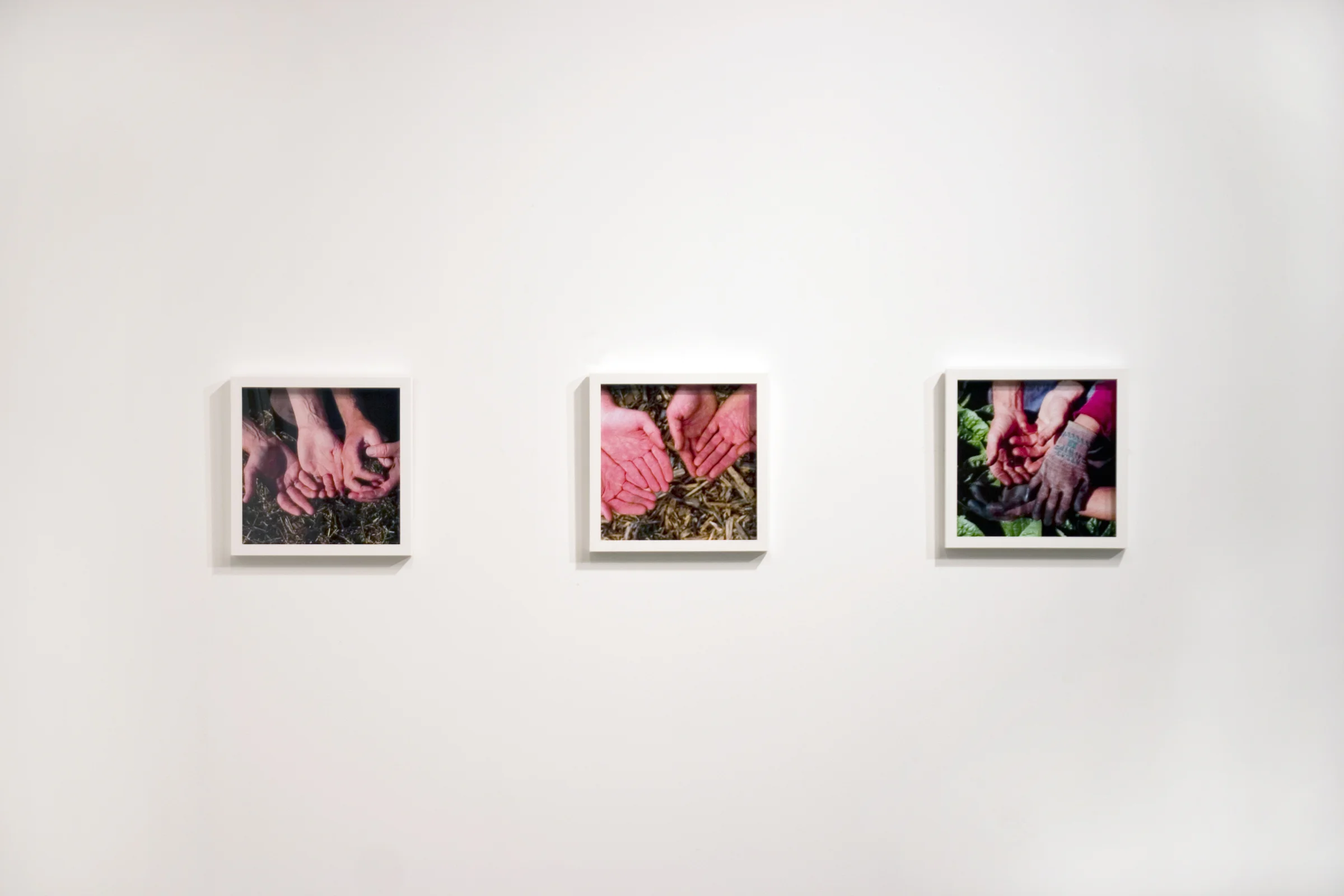 Hands 2008 11 lightjet prints (framed) 12 X 12 inches each