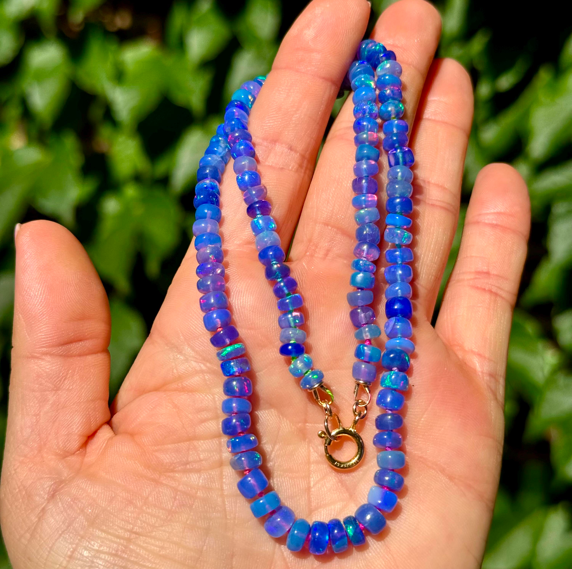 Screenshot 2024-12-10 at 9.22.08 PM.jpeg