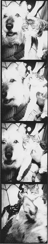 20141006.jpeg