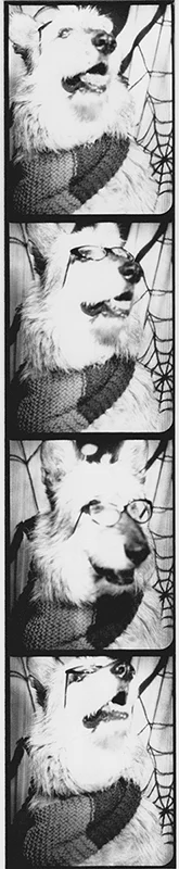 20141006 1.jpeg