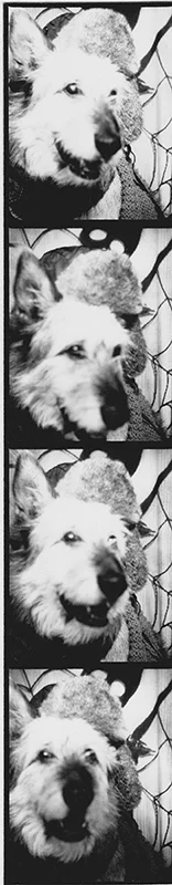 20141006 2.jpeg