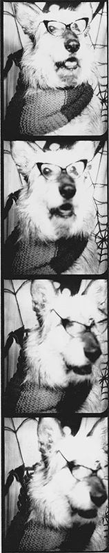 20141006 3.jpeg