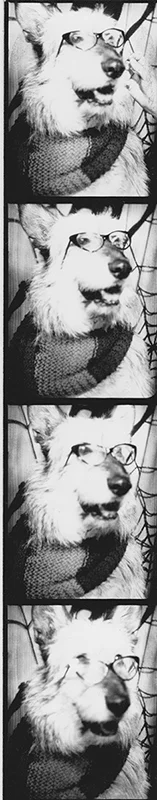 20141006 6.jpeg