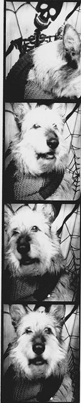 20141006 7.jpeg