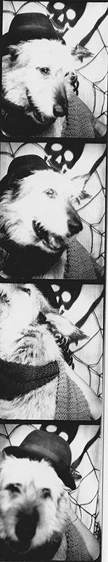 20141006 10.jpeg