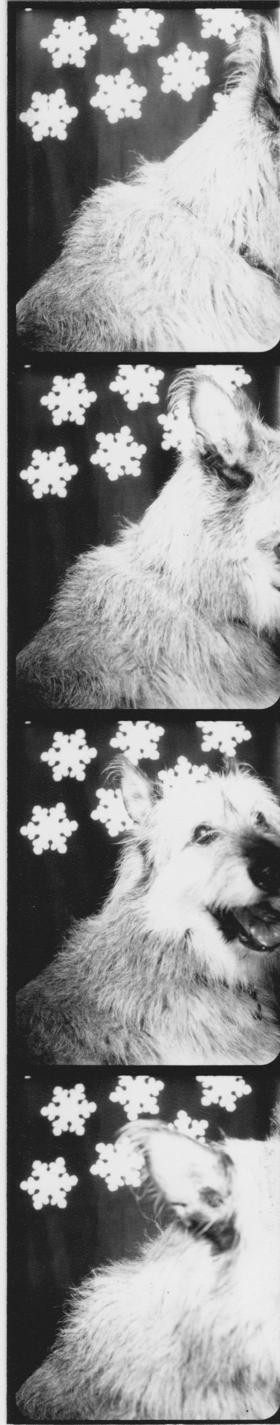 20150122 3.jpeg
